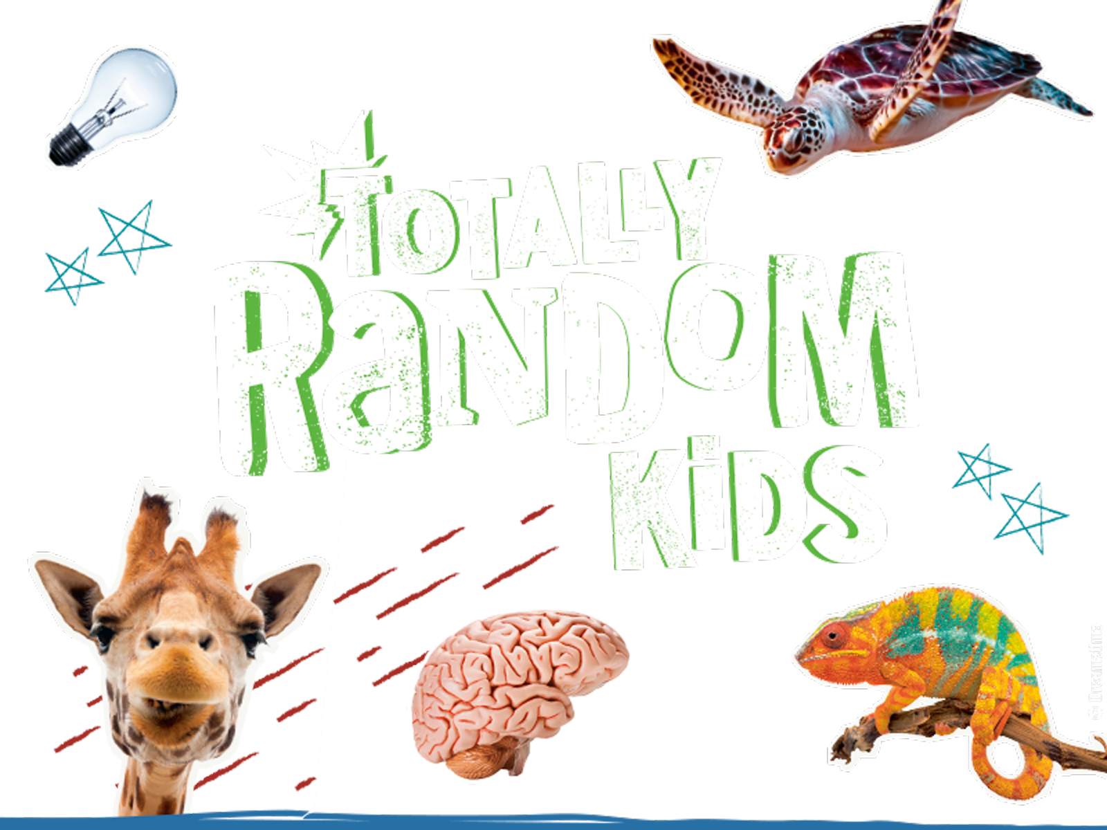Totally Random Kids