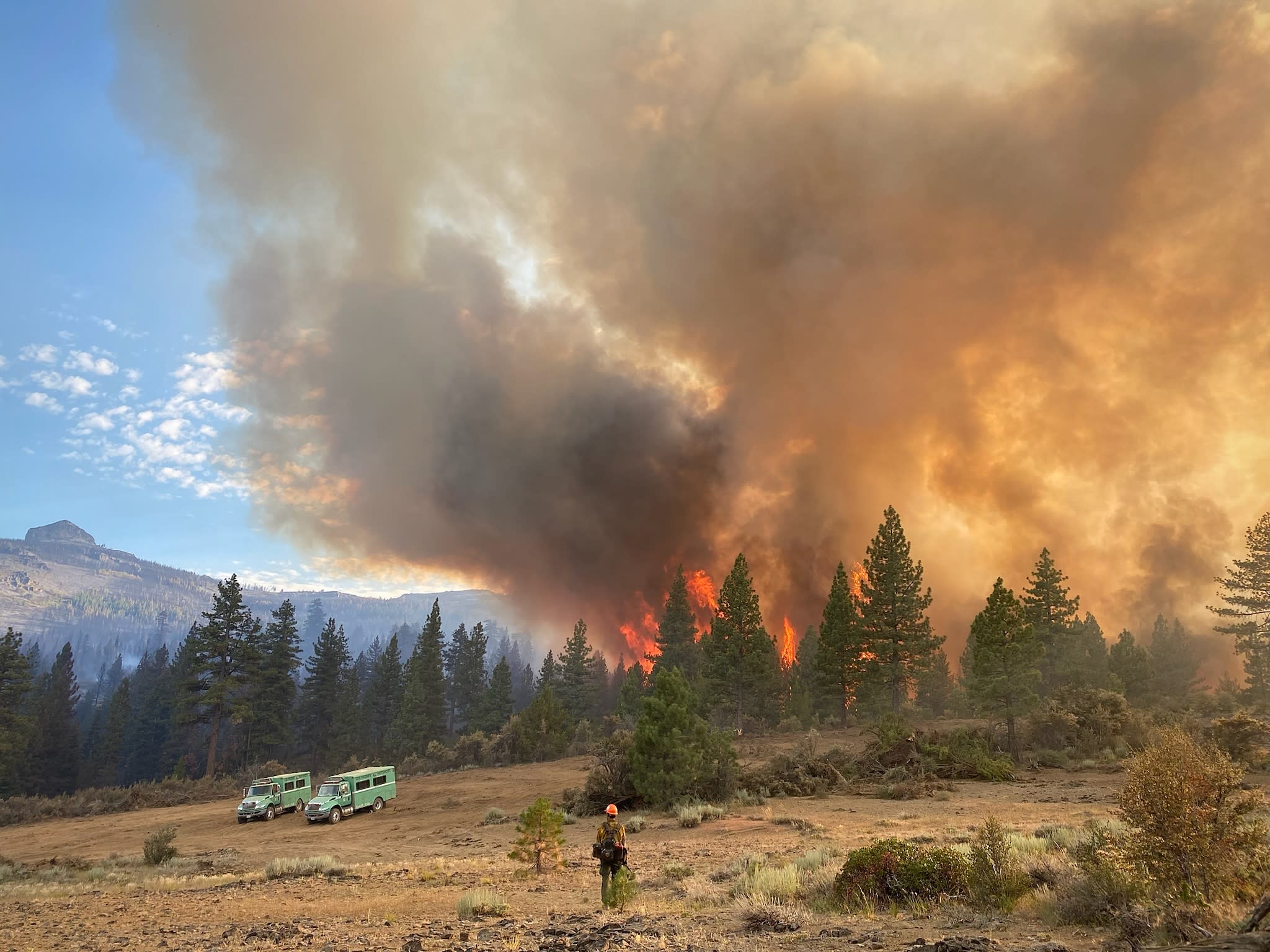 Firefighter in a Field