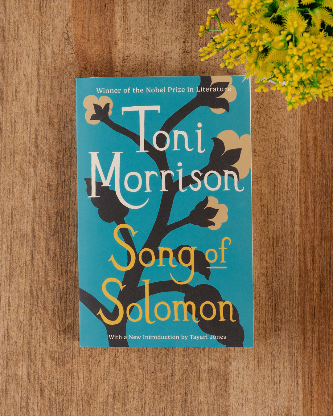 Song of Solomon