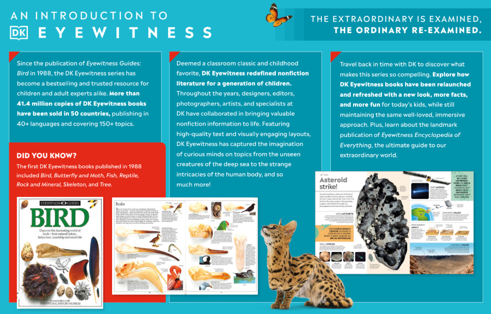 Eyewitness storywalk posters