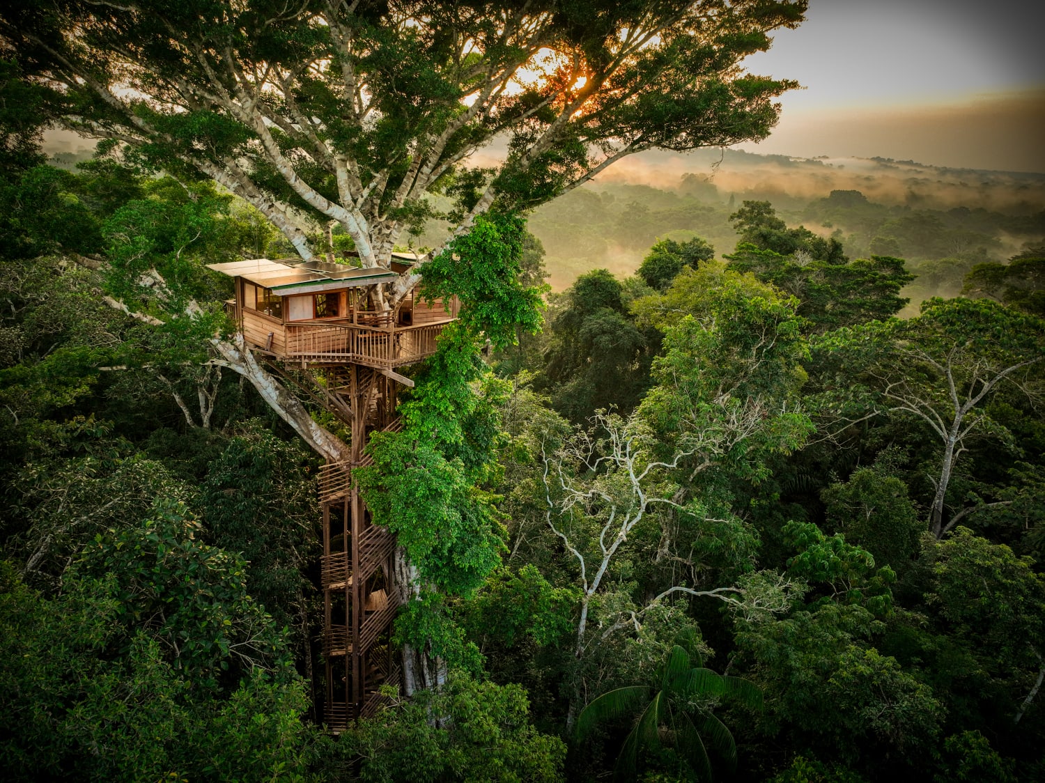 A treehouse in the Amazon