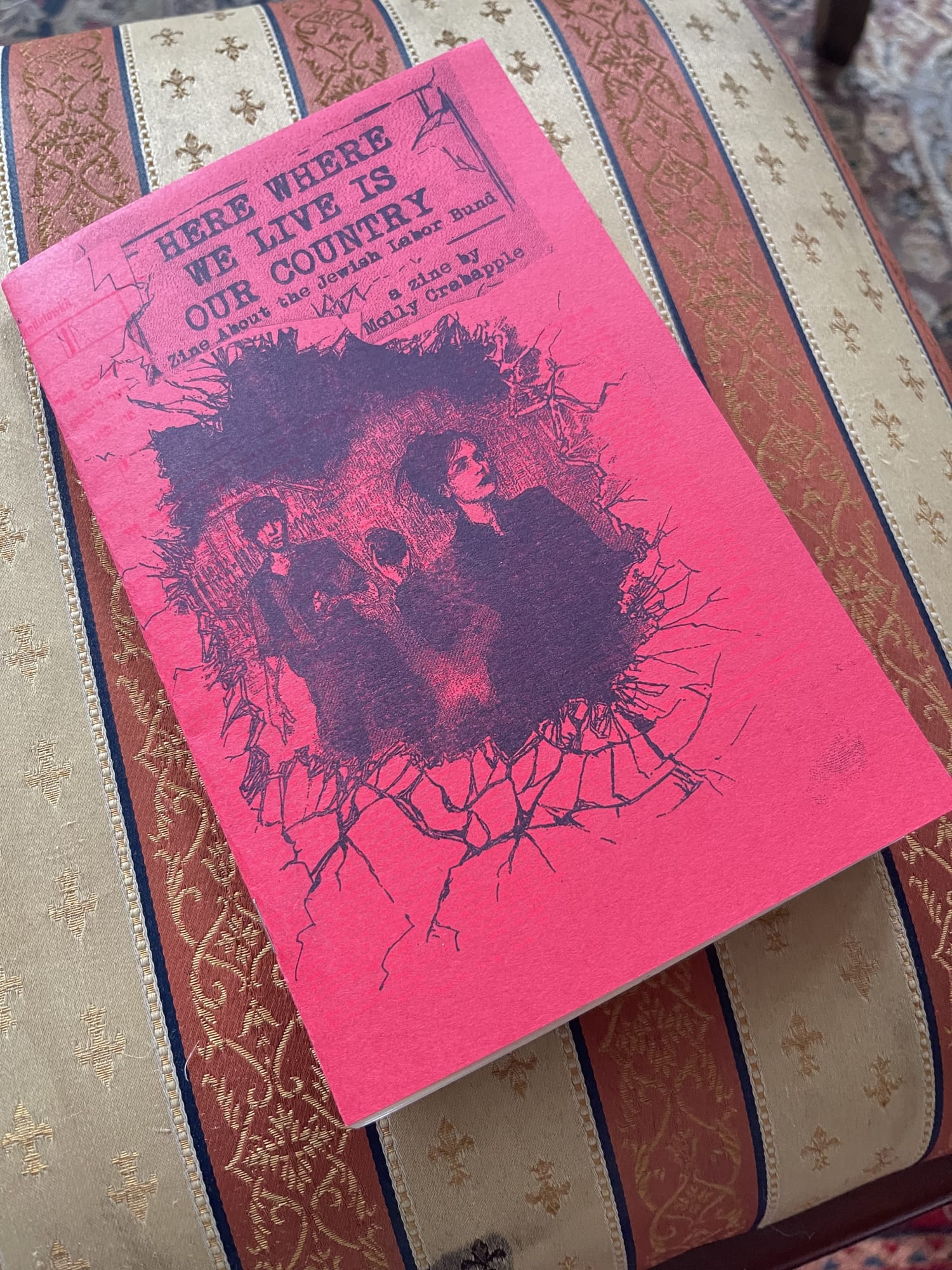 Here Where We Live Is Our Country zine by Molly Crabapple