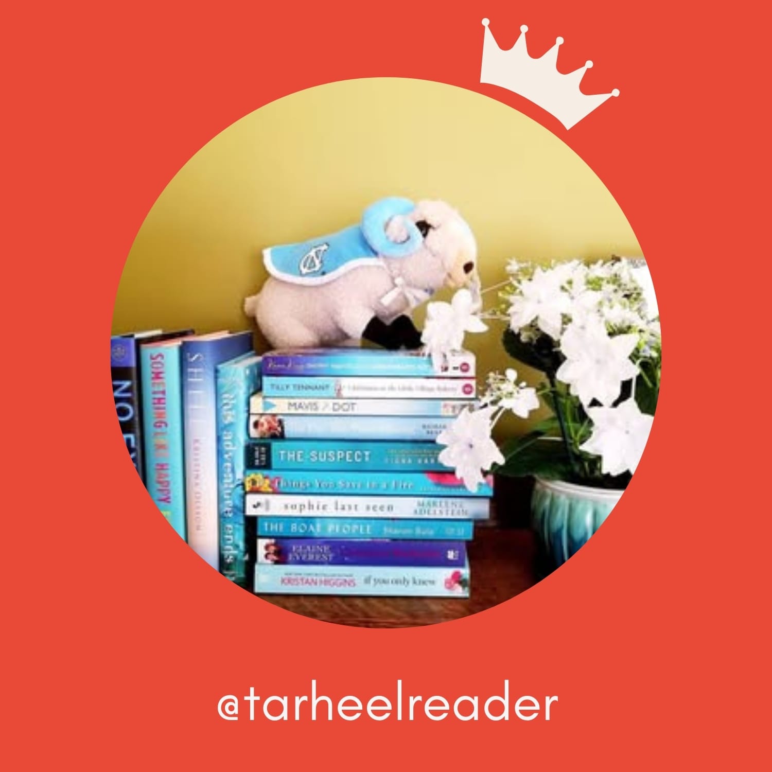 Profile picture of @tarheelreader