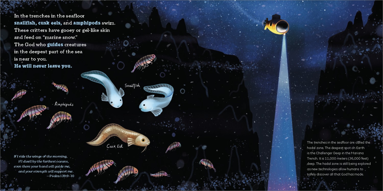 An excerpt from the book, God's Little Oceanographer by Tina Cho