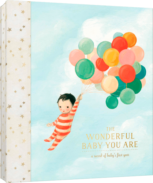 The Wonderful Baby You Are by Emily Winfield Martin