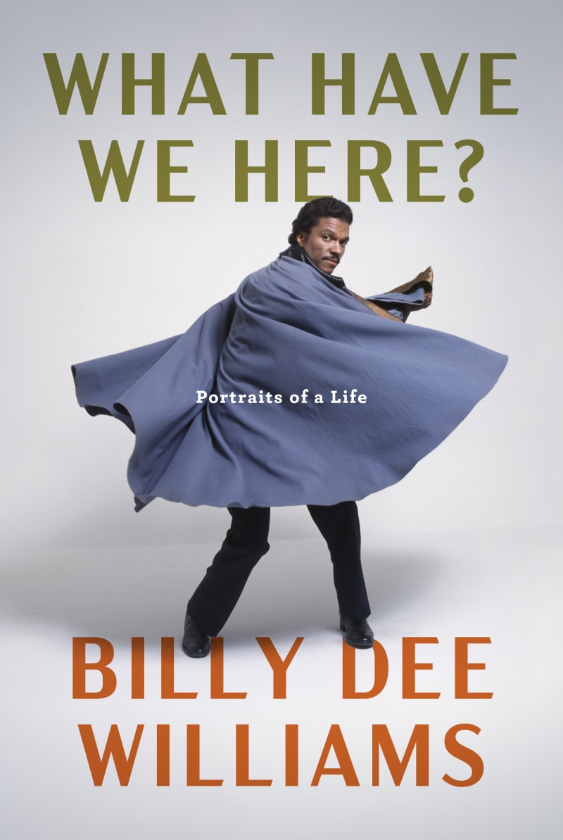 Cover of the book WHAT HAVE WE HERE by  Billy Dee Williams