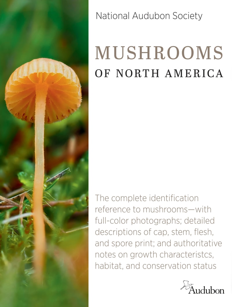 Audubon Mushrooms