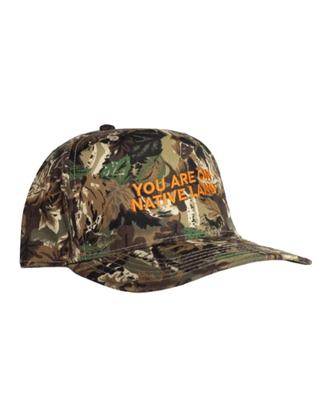 You Are ON Native Land Camo Cap