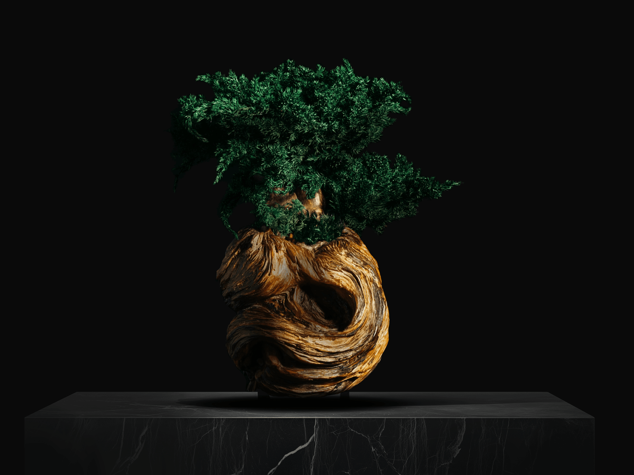 AYRA 33 — view 1