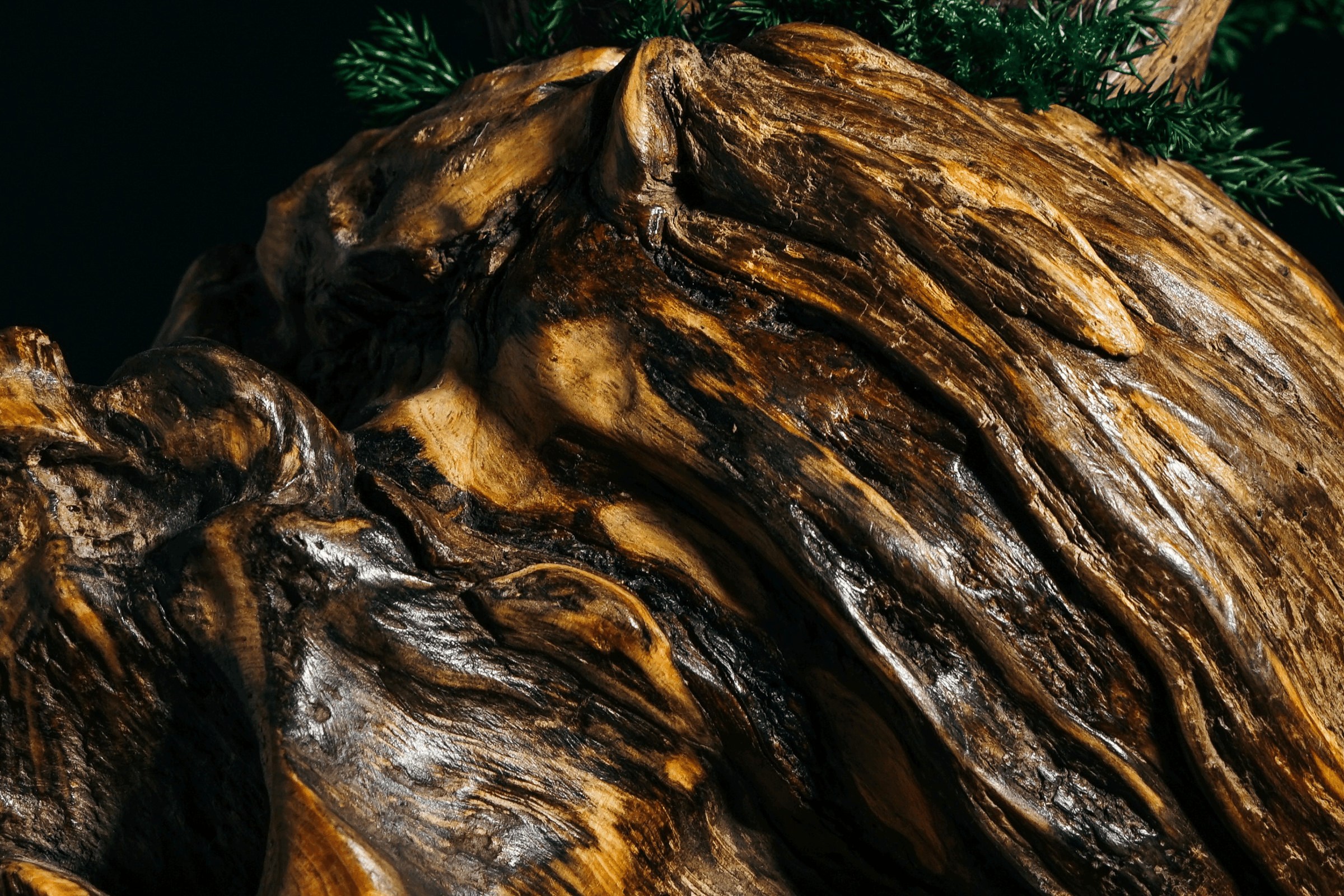 VEYN 81 — view 2