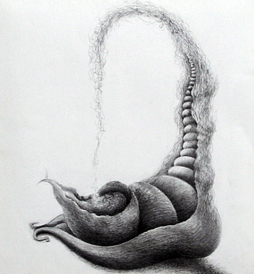 The Cosmic Vibration by Ashok Patel — Pencil on paper, 2007