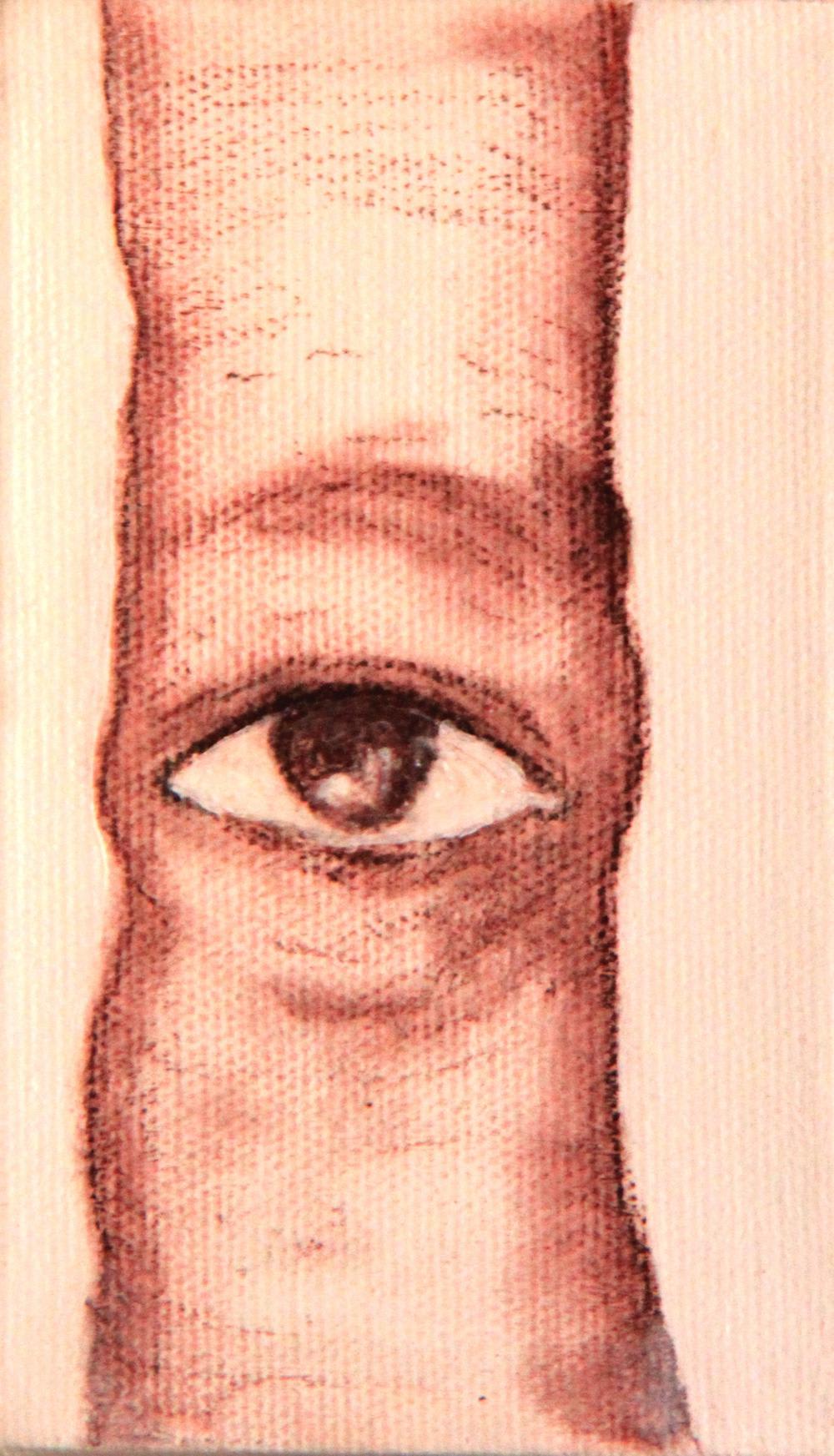 Untitled (Bark with eye) by K. Benitha Perciyal — Acrylic on canvas, 2008