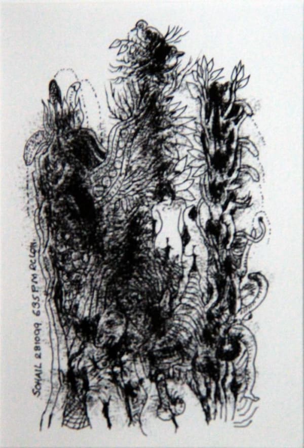S 28.10.99 by Tasaduq Sohail — Pen and ink on paper, 1999