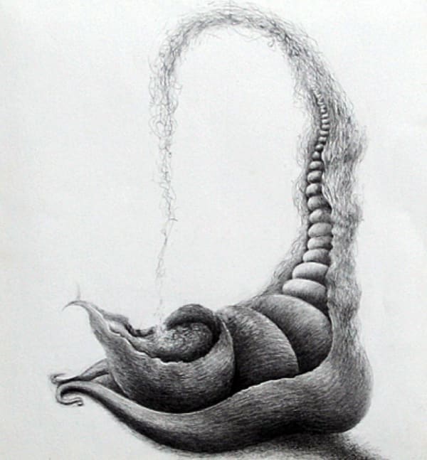 The Cosmic Vibration by Ashok Patel — Pencil on paper, 2007
