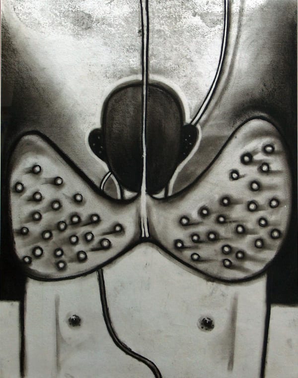 Untitled I (Wings) by M. Siva — Charcoal on paper, 2005