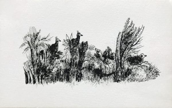 Untitled by Tasaduq Sohail — Ink on paper, Undated