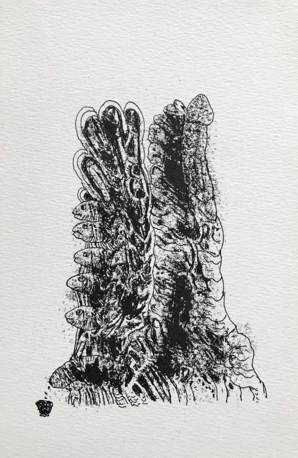 Untitled by Tasaduq Sohail — Ink on paper, Undated