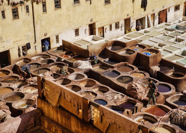 Family Trips: A 15-Day Grand Moroccan Discovery