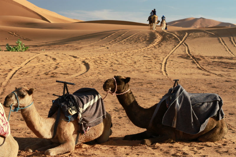 Through the Ziz Valley to the Sahara