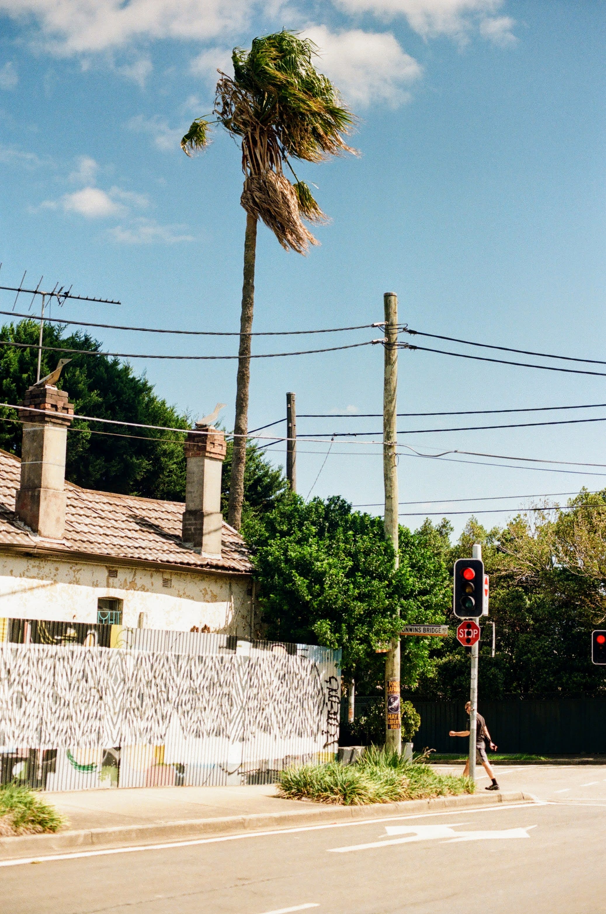 A palm tree blows in the strong breeze on a street corner. A white old house is on the left of the frame, while a man crosses the road near the right of the shot.