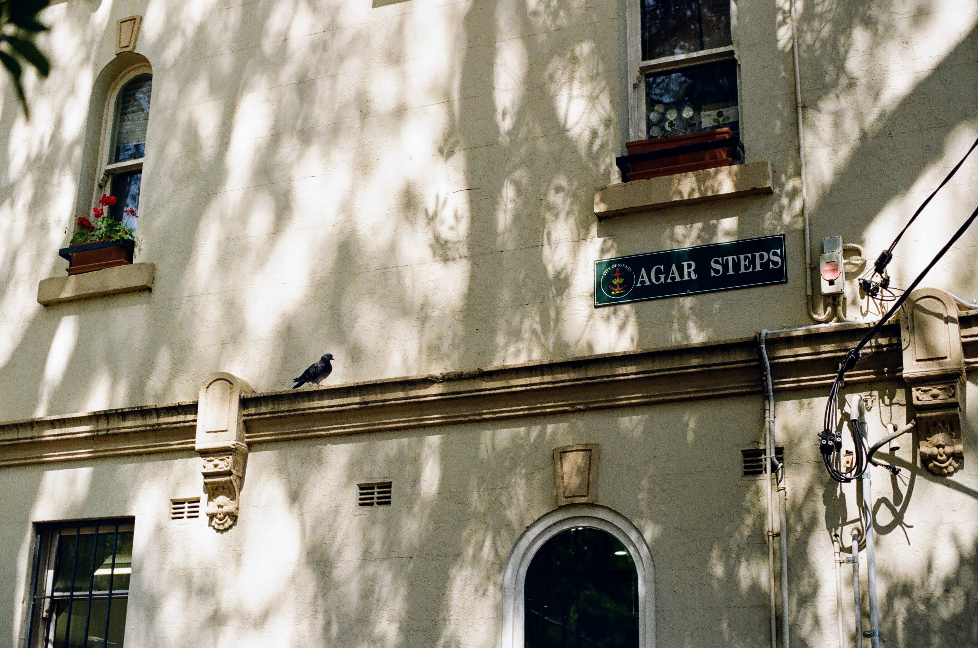 A pigeon sits on a ledge alongside a building. 