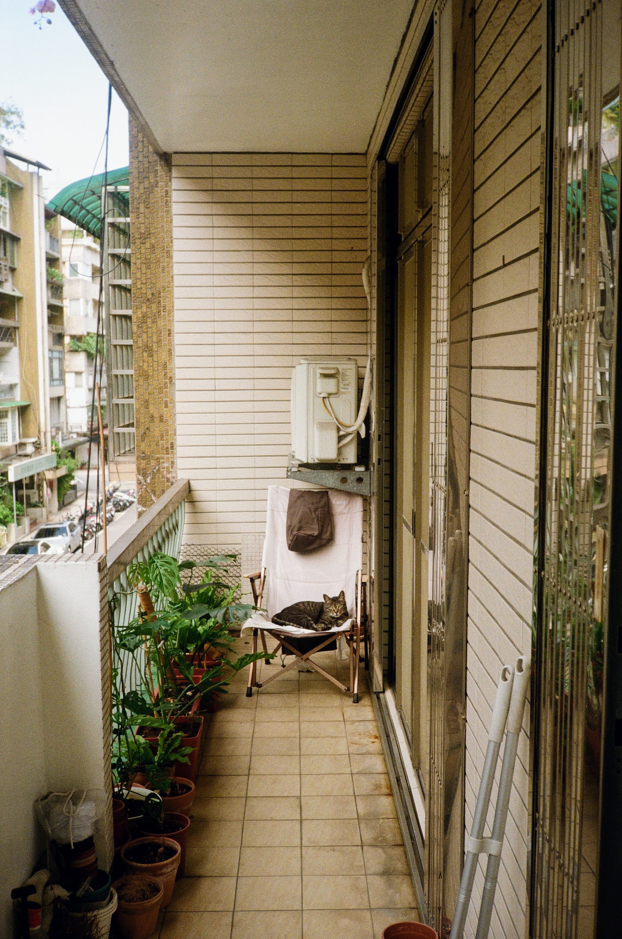 A cat sits comfortably on a outdoor chair on a balcony. Plants line the outside of the balcony, while an air conditioning unit is above the chair the cat is sitting on.