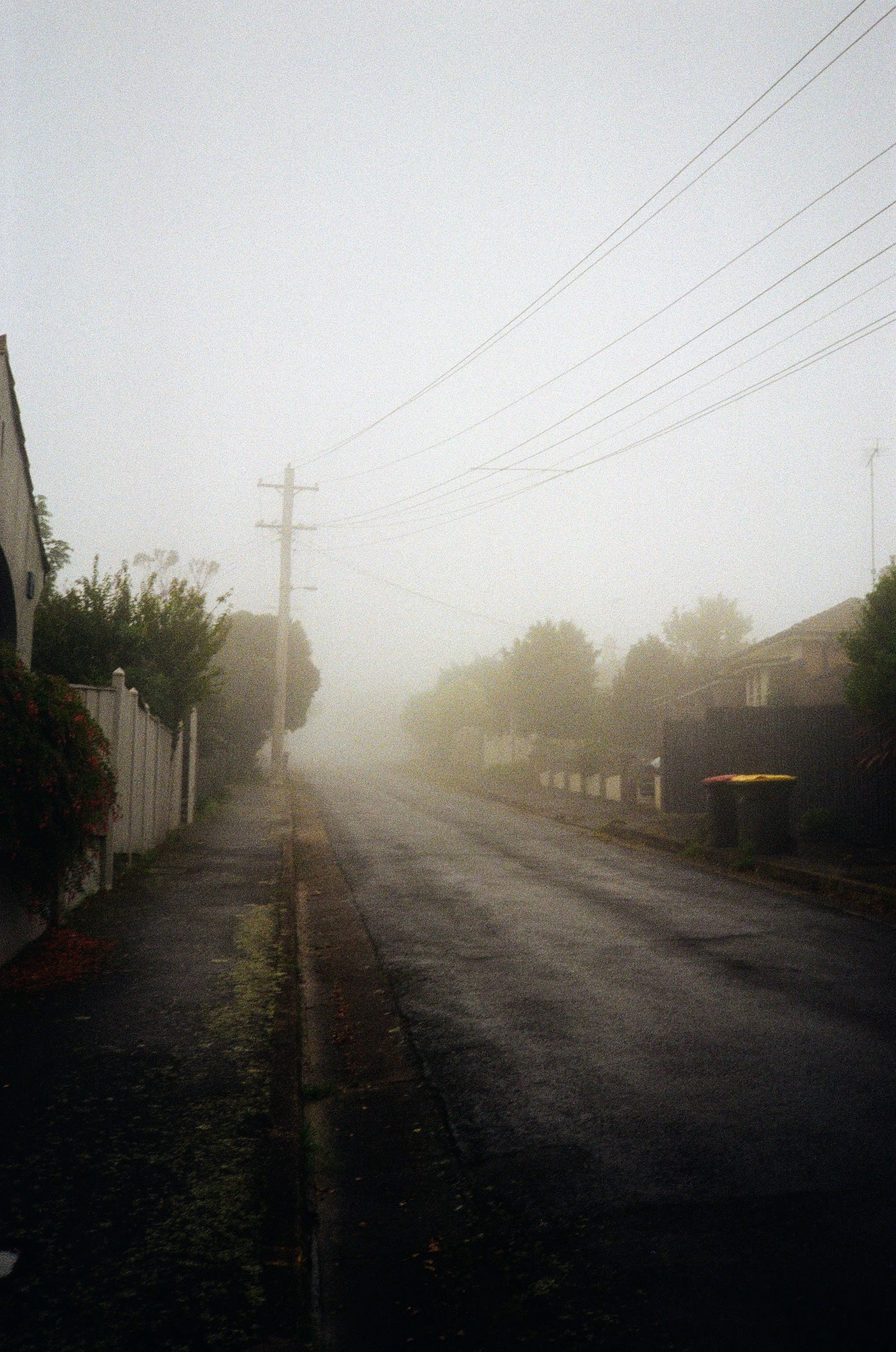 A morning fog sits on a suburban street. Old houses line the road, with garbage bins out on the street.