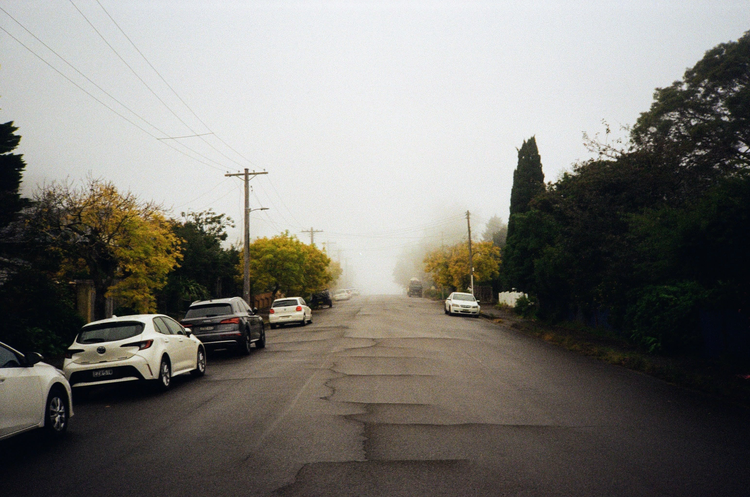 Cracks run through a local road, with cars parked on the left and trees lining the other. A fog has settled over the road in the distance.