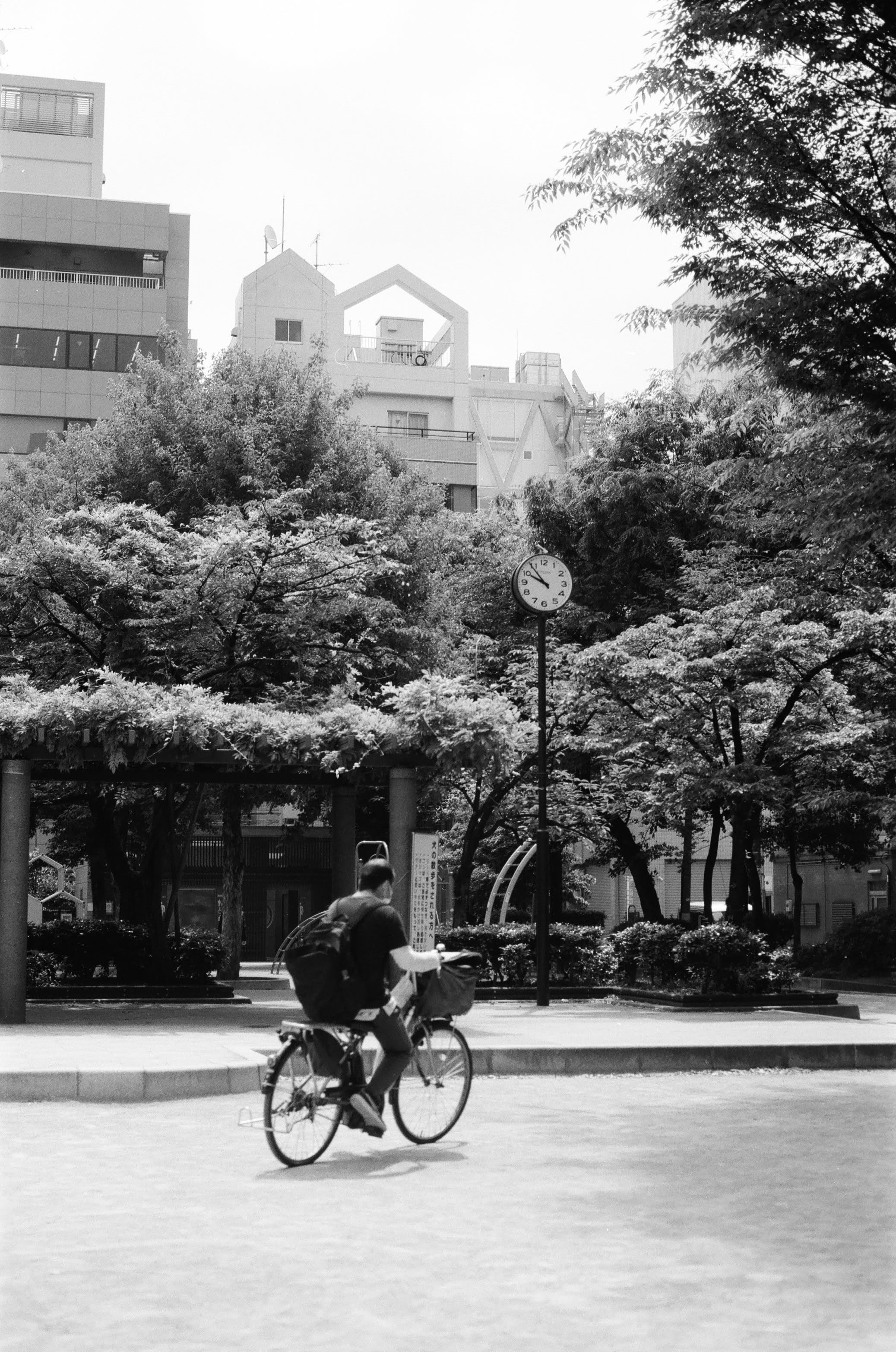 A Japanese delivery man on a bicycle rides through an empty park. There is a clock in the background of the photo that is elevated at the top of a post.