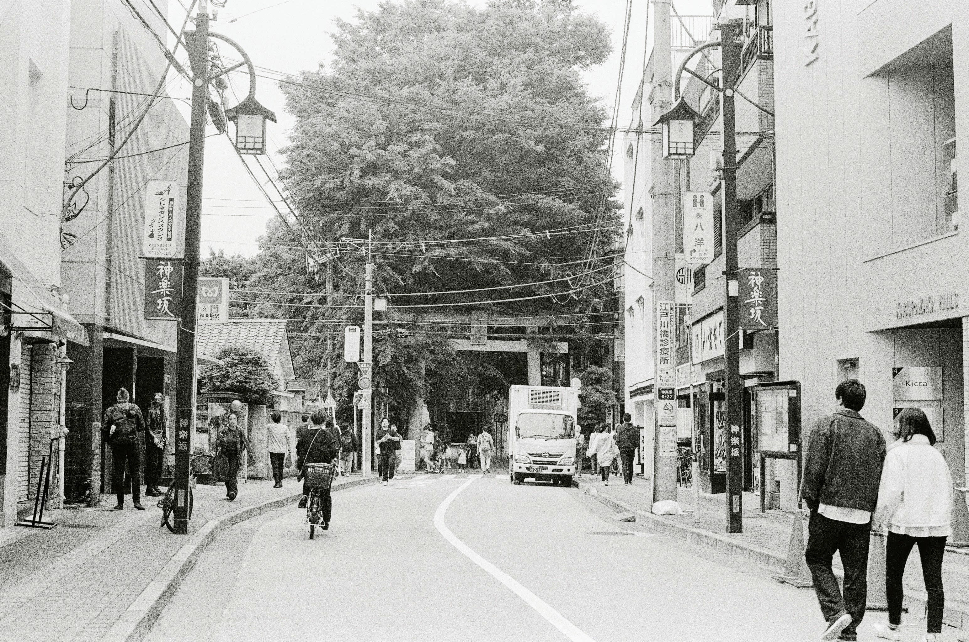 A residential Japanese street with people walking and riding cycles leads towards a large tree with a Japanese shrine peaking through the leaves.