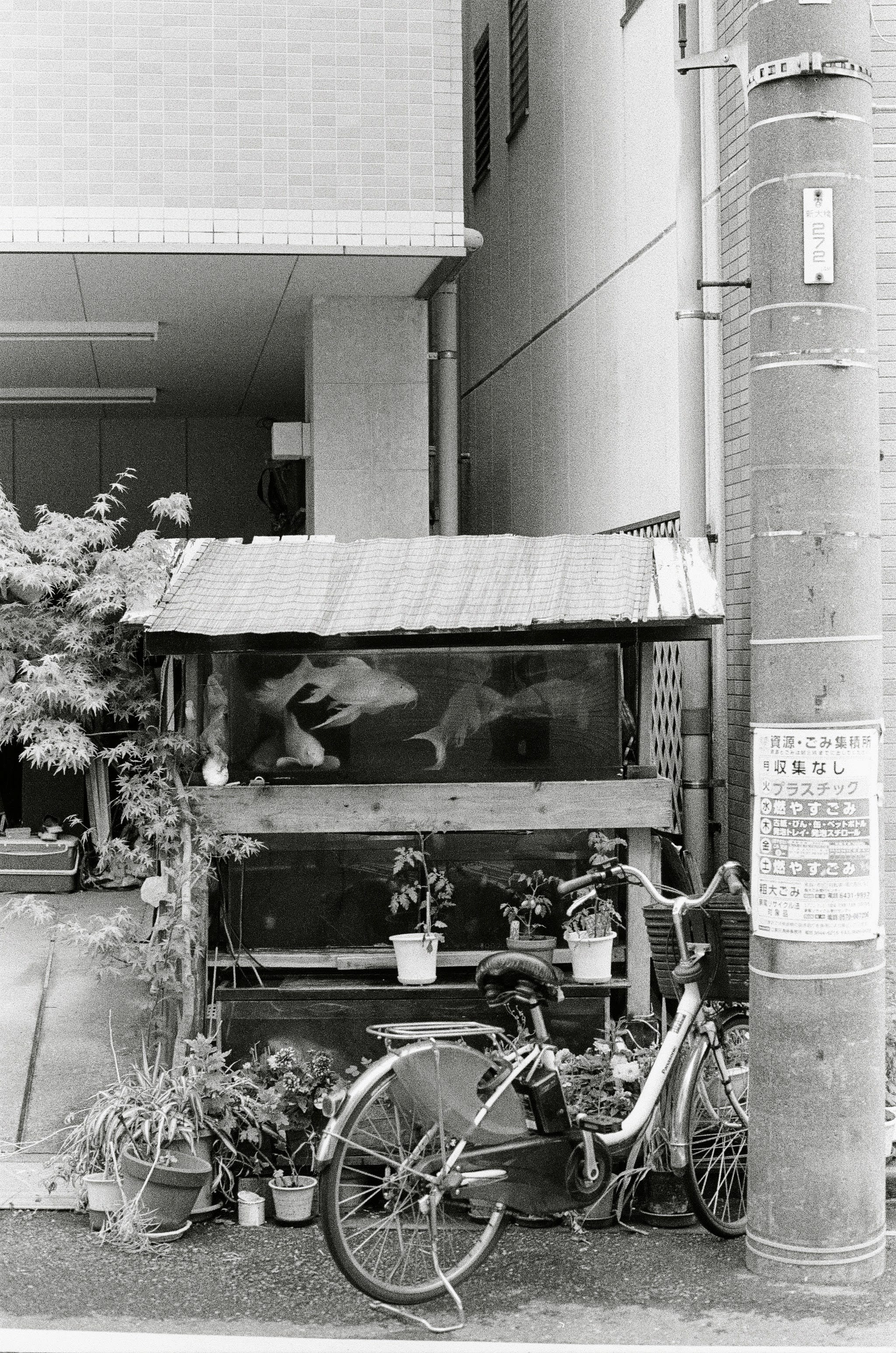 A fish tank sits outside a window, with pot plants around it. A bike is parked next to the lamp post on the street.