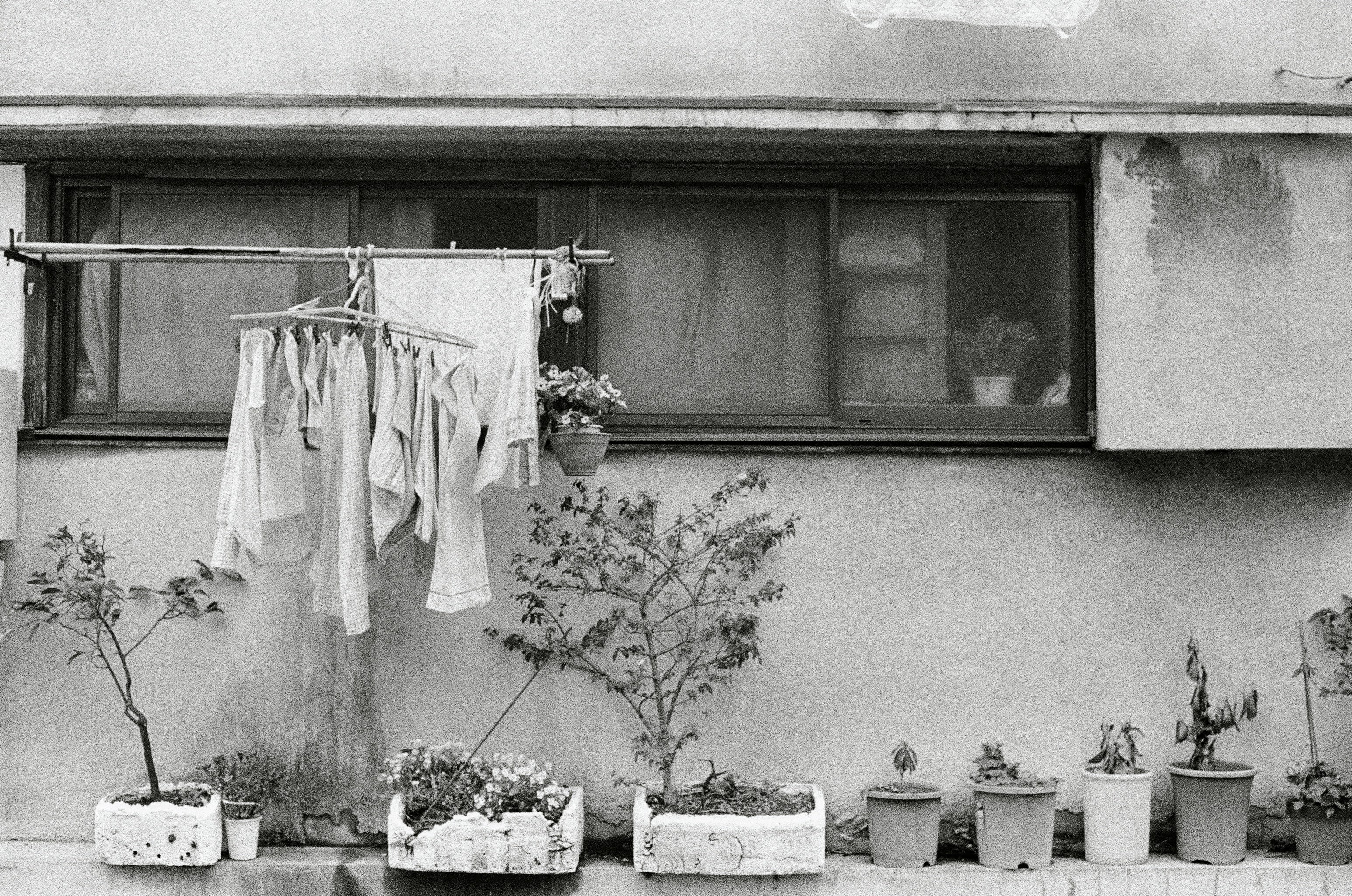 Laundry hangs outside a window with pot plants lined on the wall next to it.