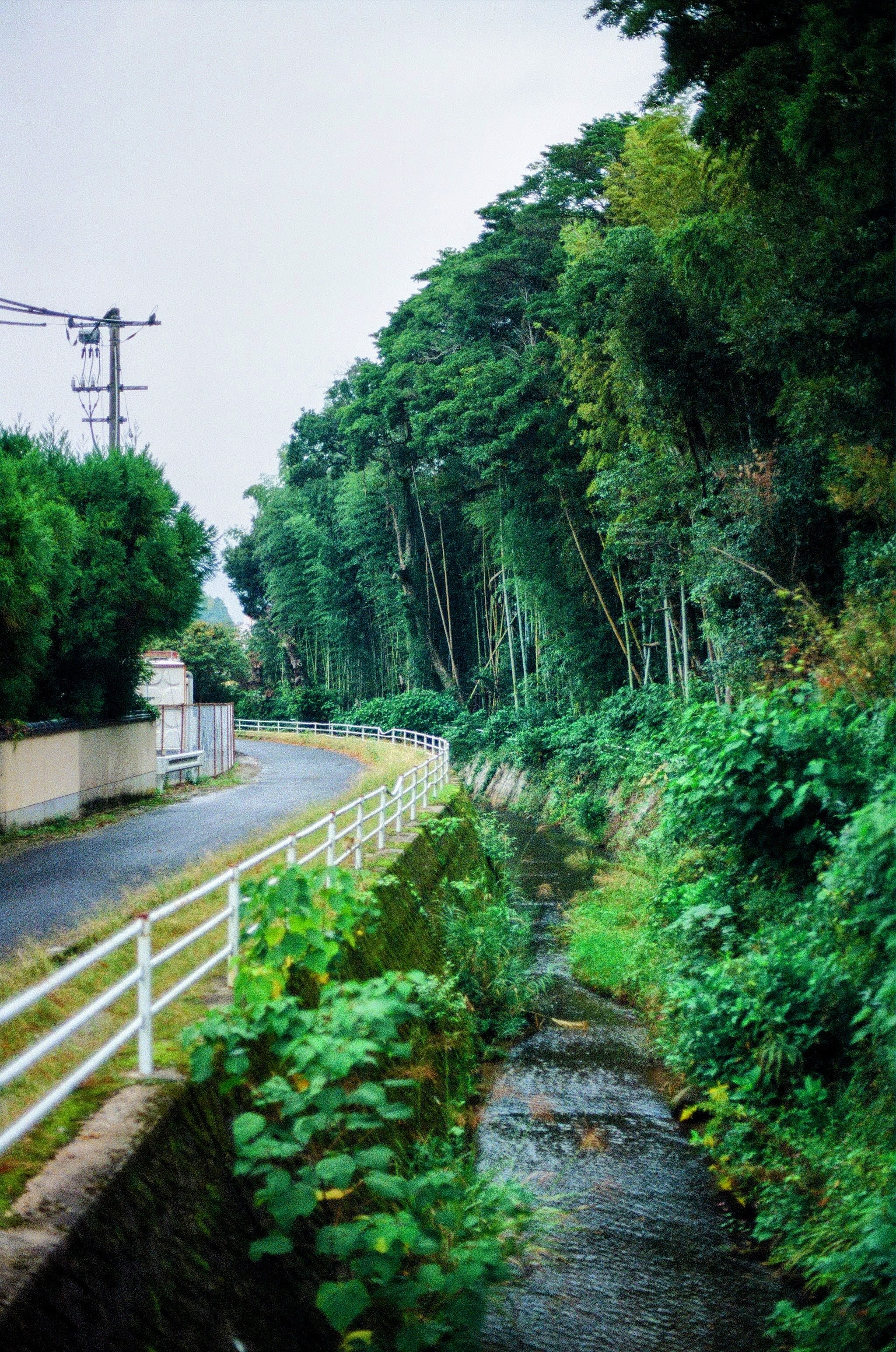A green leafy forest lines the right side of the frame, next to a stream which runs away from the photographer, curving to the right. A fenced lane runs alongside the stream.