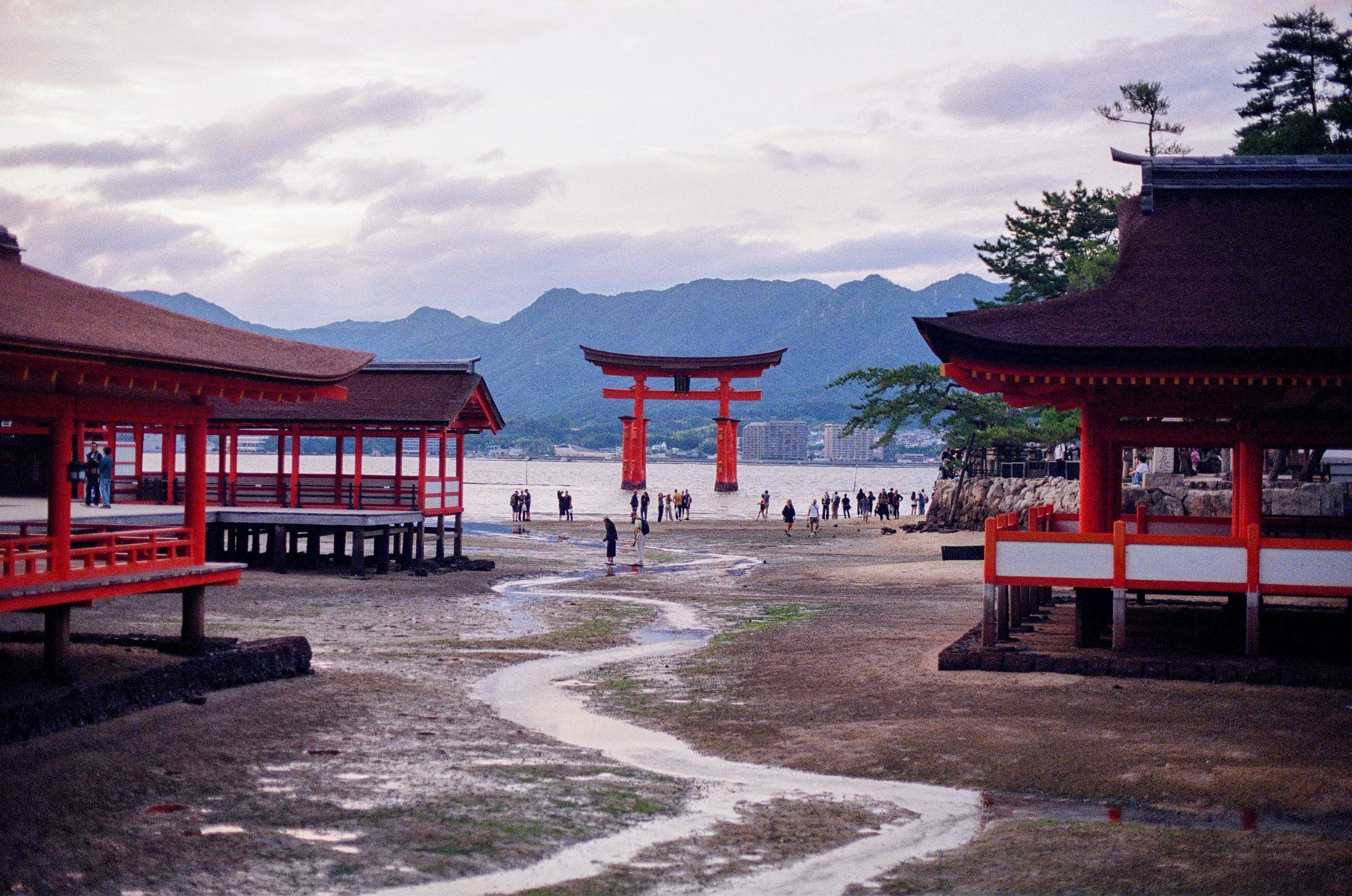 A red torii gate stands at the waters edge in the center of the shot. Mountains are in the background, with the sky beginning to change colour at dusk. A stream runs through the middle of the frame towards the gate, with red patios lining it on either side.