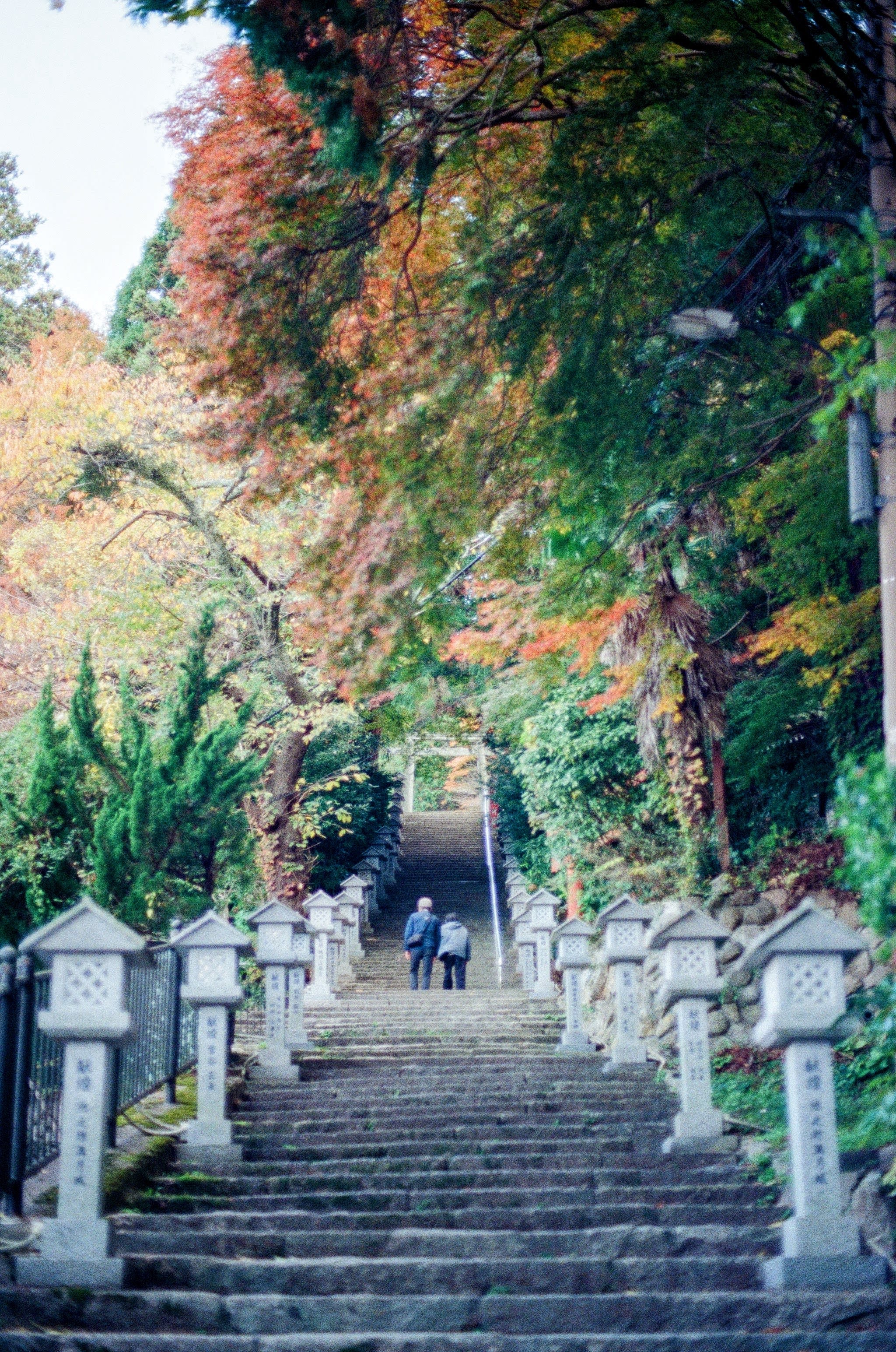 A couple walk up a long stone staircase flanked by stone lanterns. Autumn trees line the left of the staircase.