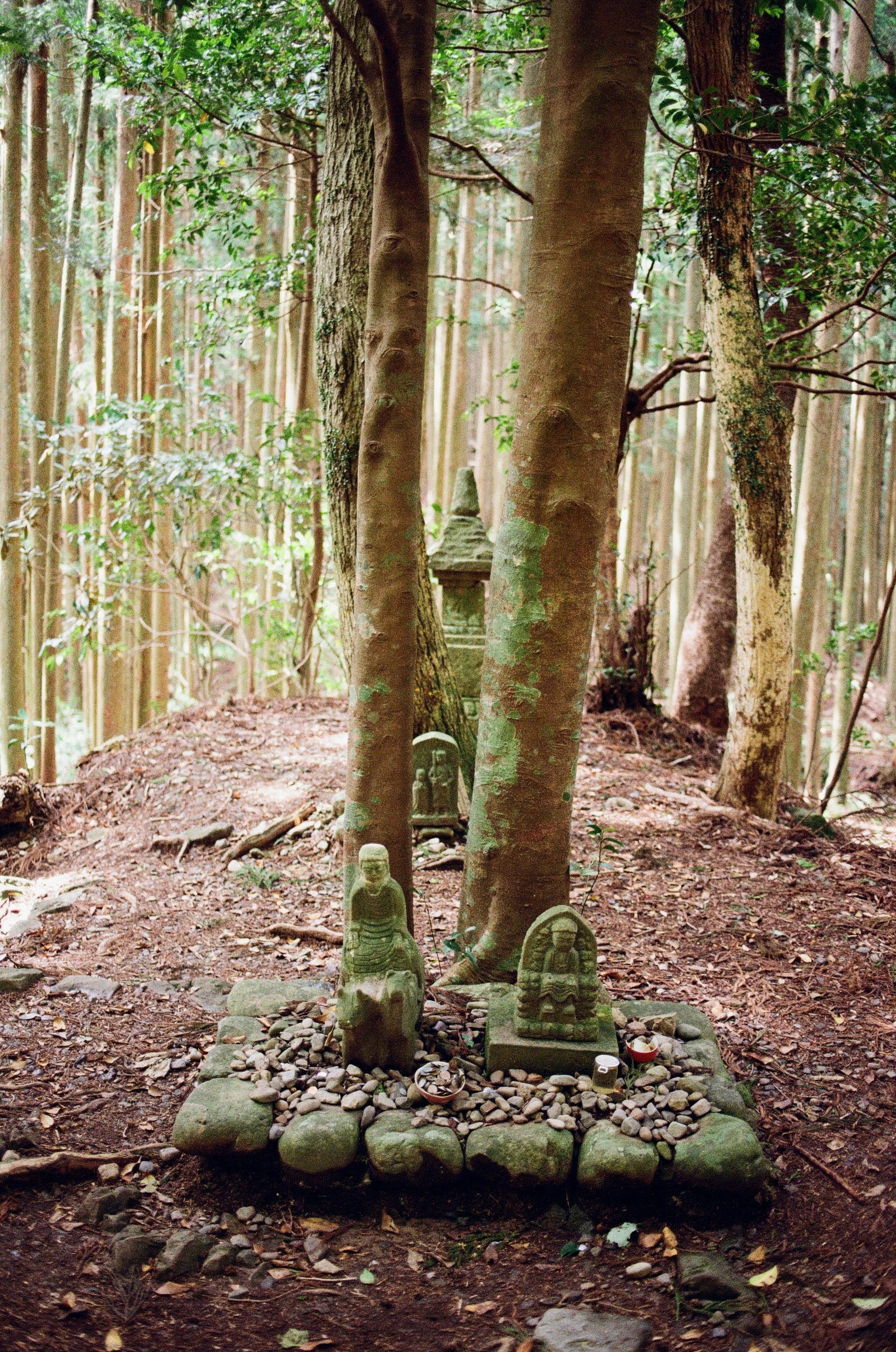 A small shrine in the forest. Two stone statues sit surrounded by coins, with trees in the background.