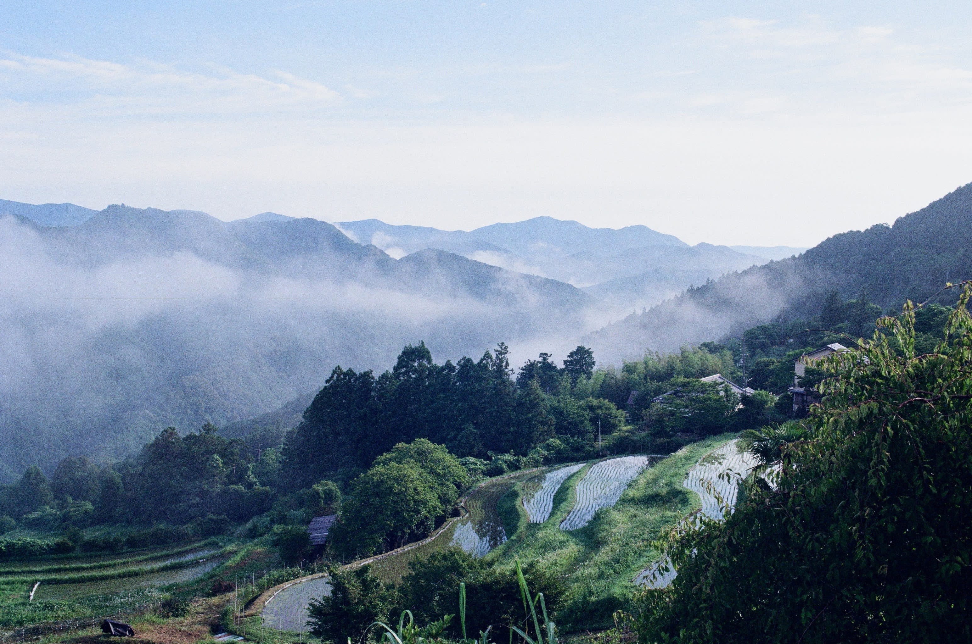 A morning scene looking out at mist covered mountains. Rice terraces are in the foreground of the shot, reflecting the early morning sun.