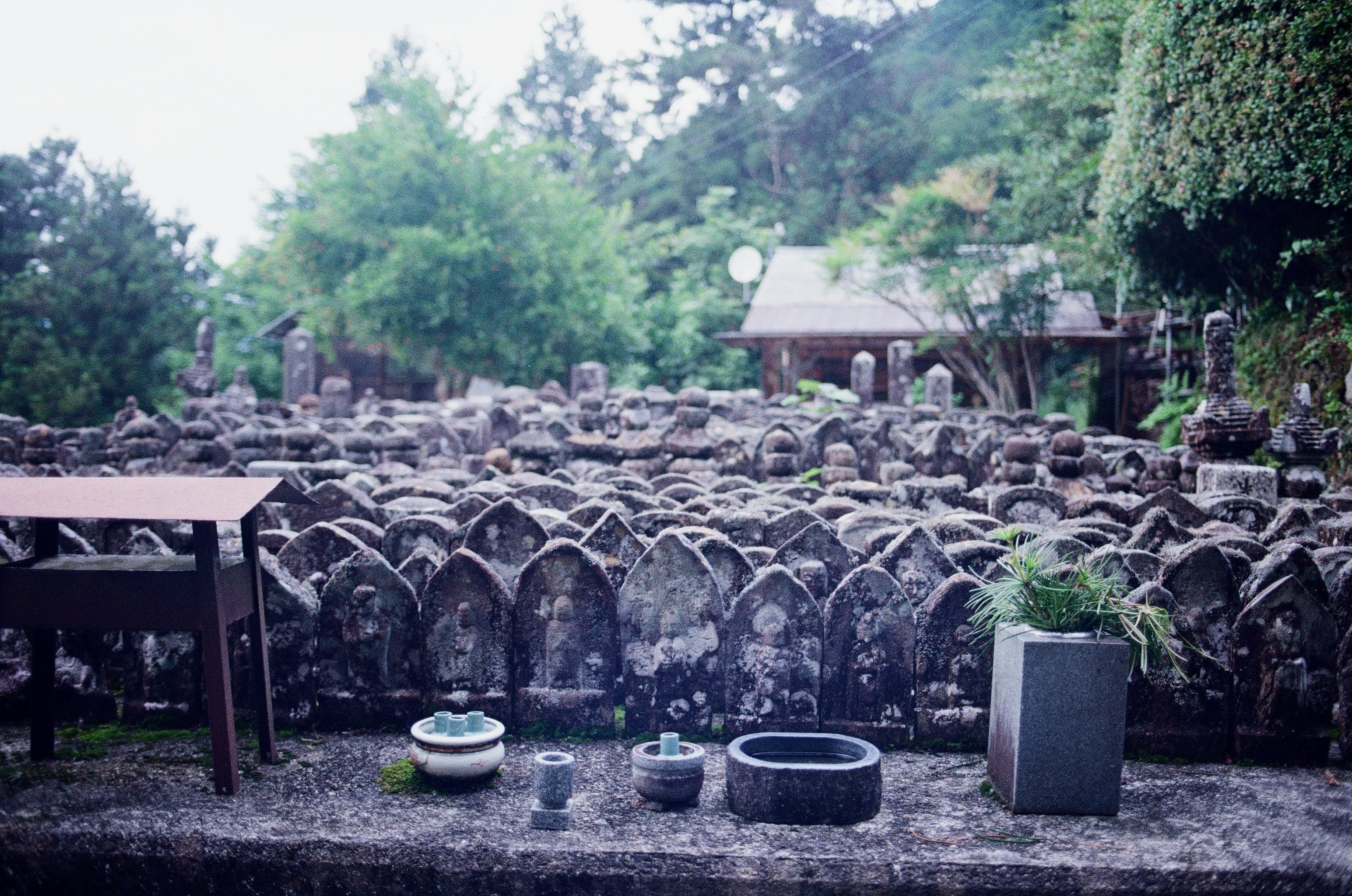 A first person view looking at a Japanese graveyard.