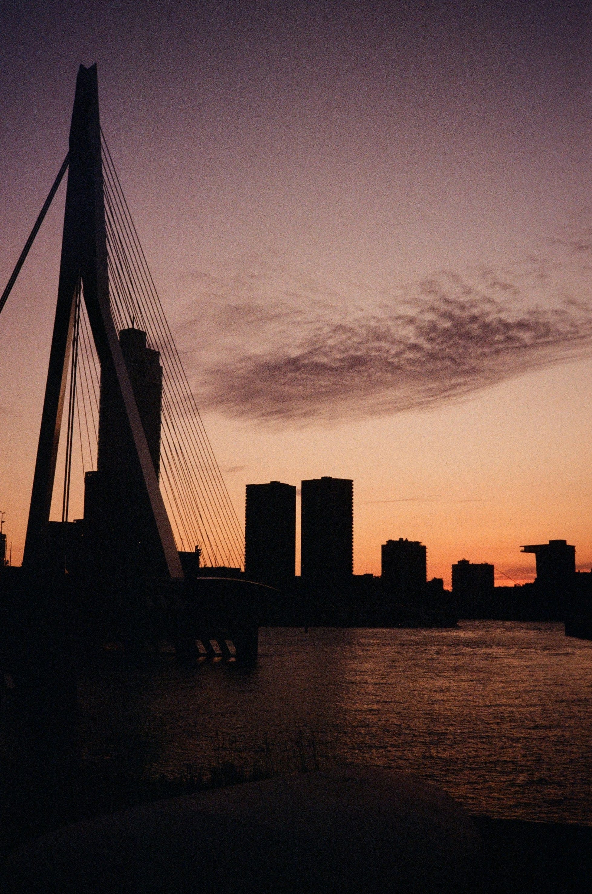 A vibrant orange sunset highlights the silhoutte of the Erasmus bridge and Rotterdam skyline.