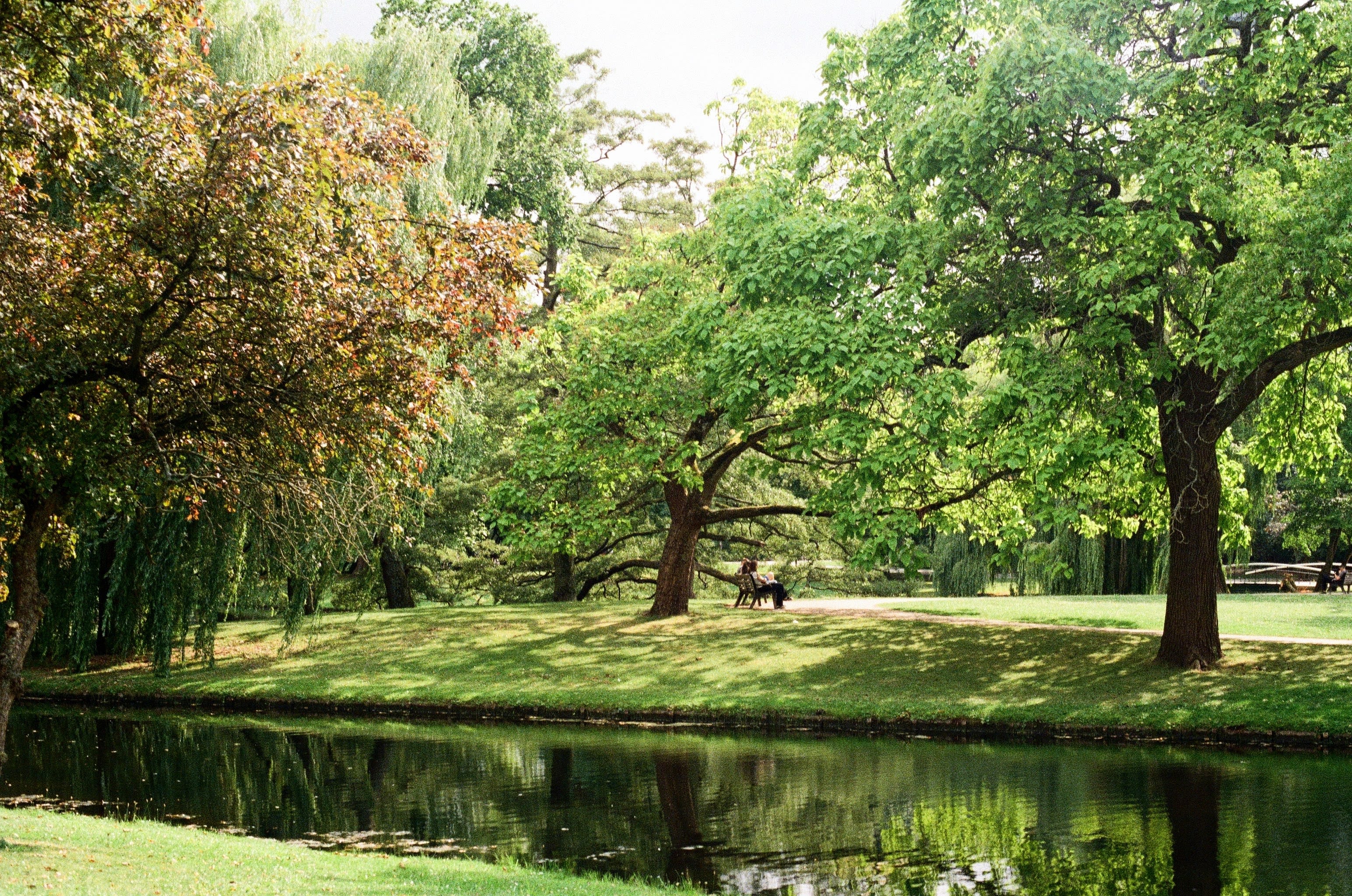 Two people sit under green leafy trees in a park. Behind them, in the foreground of the picture, is a placid lake.