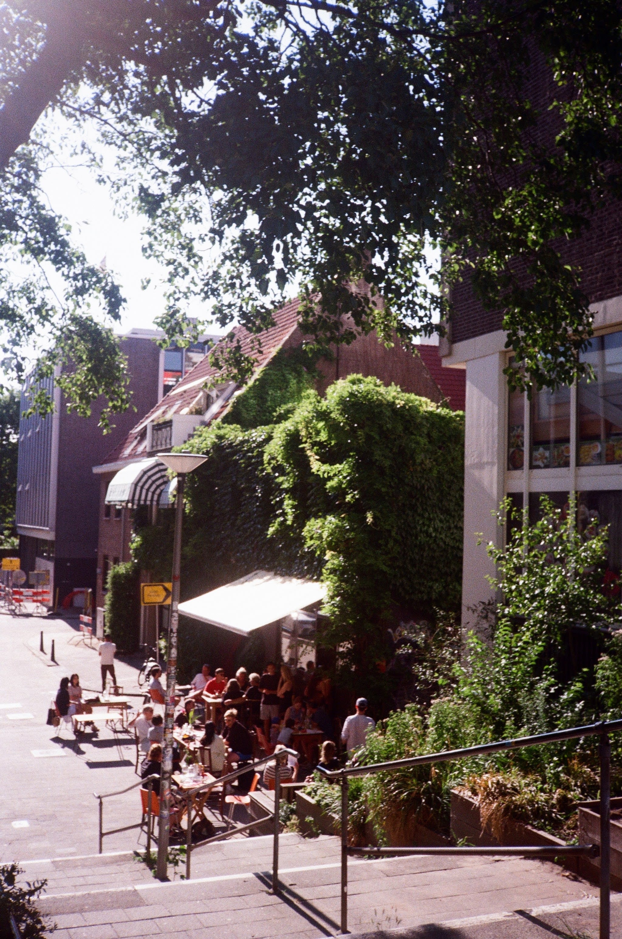A large group of people sit outside a cafe enjoying the midday sun. The cafe is covered in vines and foliage.