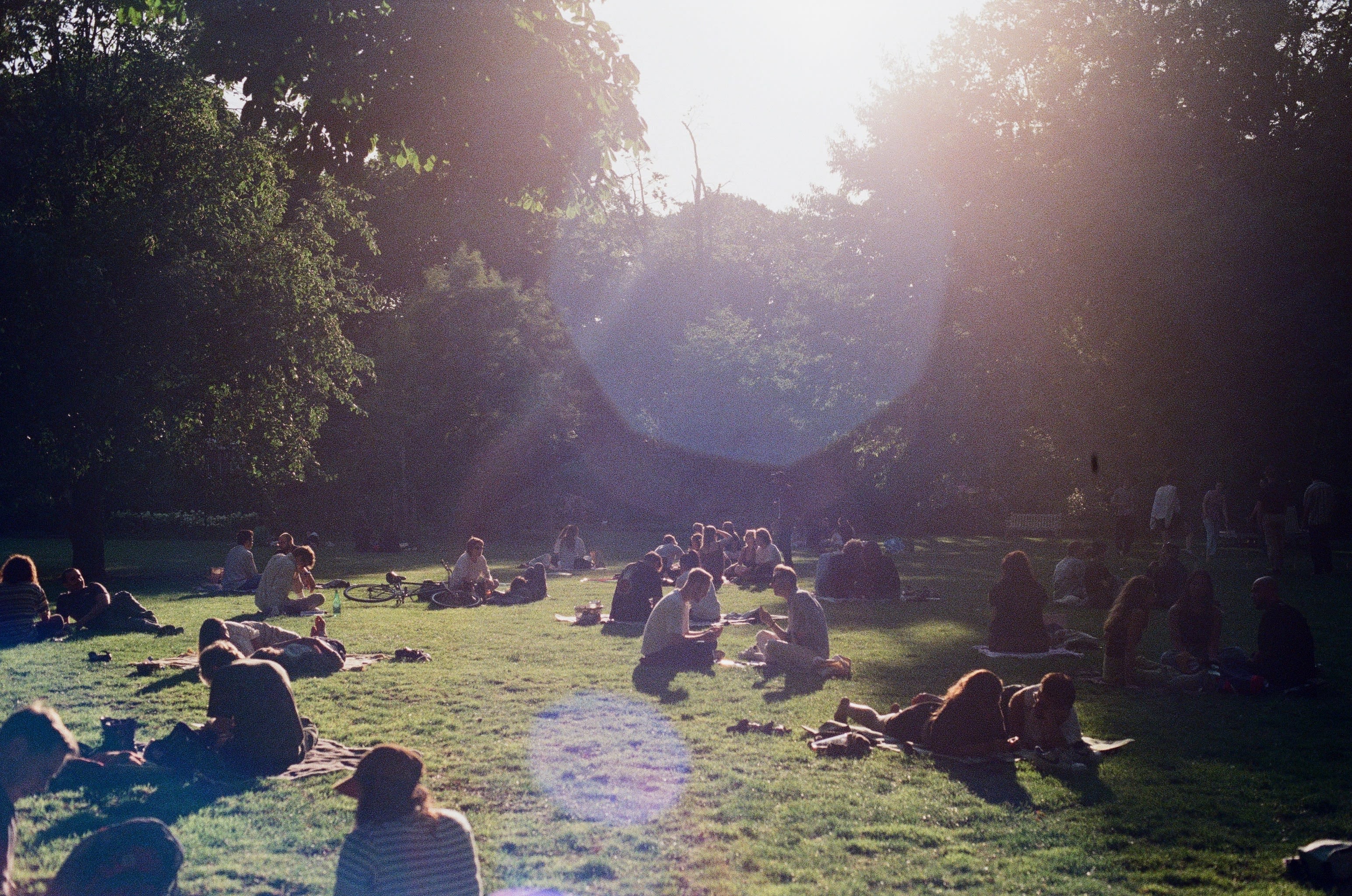 Groups of people sit in a sunlit park. Some shade from the trees frames the sides and background of the picture. Light leaks into the shot.