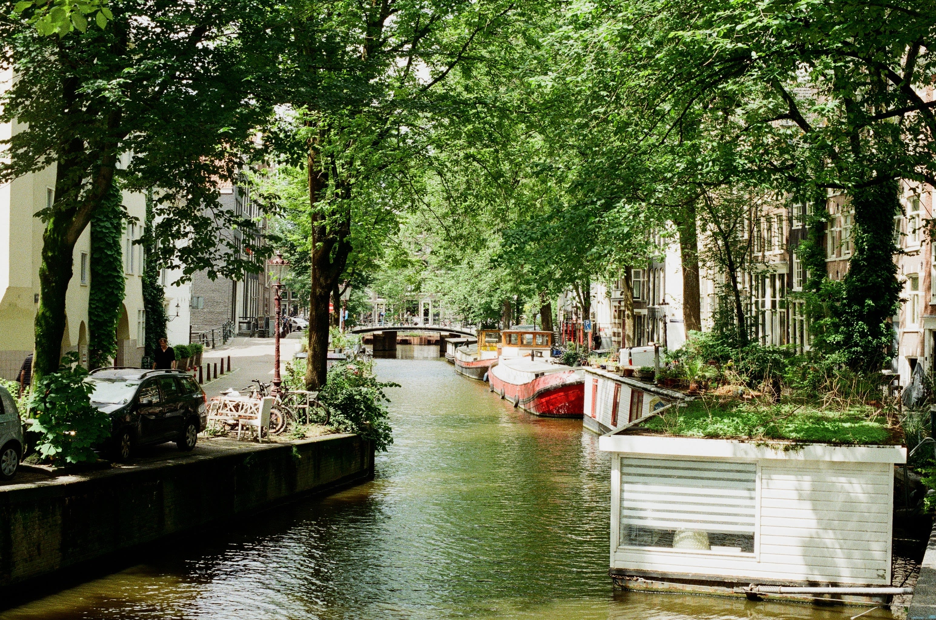 A typical Dutch scene, with small boats moored on a canal flanked by trees, roads, and houses.