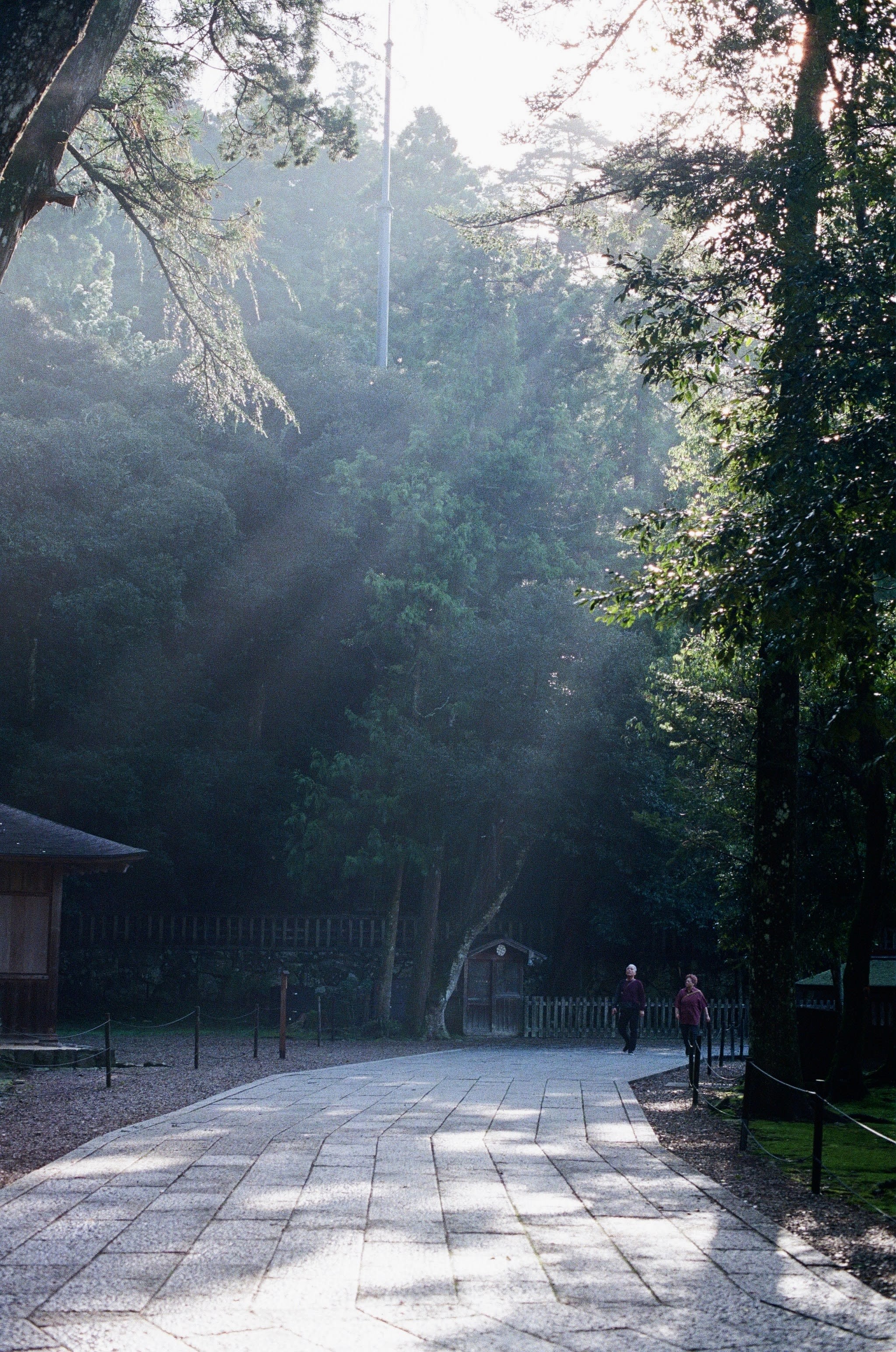 A couple walk around the corner into the frame. They are walking on a path that is surrounded by tall green trees, with a shrine off to the left of the shot. Sunlight filters through from the top right of the shot