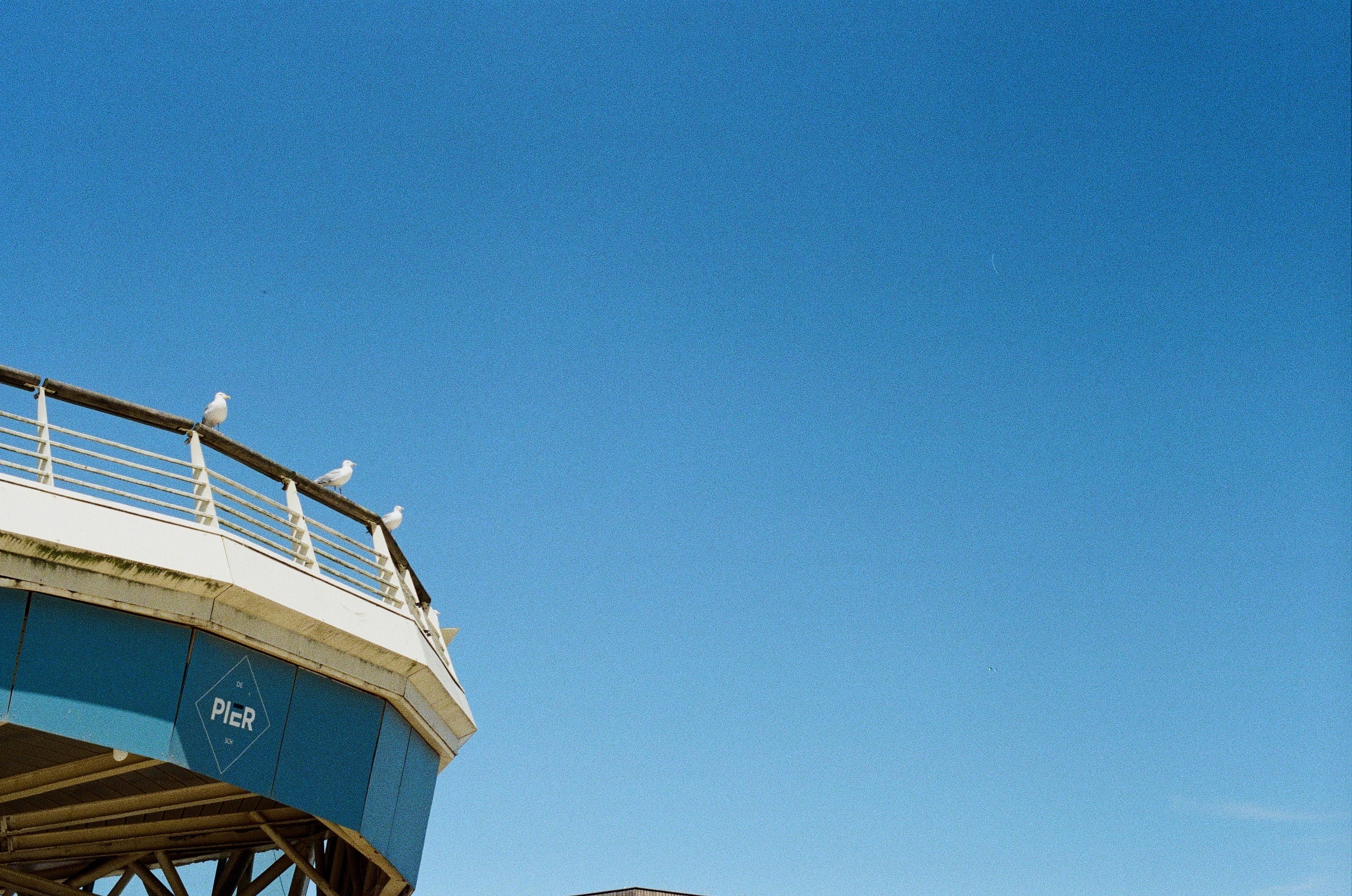 Three seagulls sit on a railing against a blue sky.
