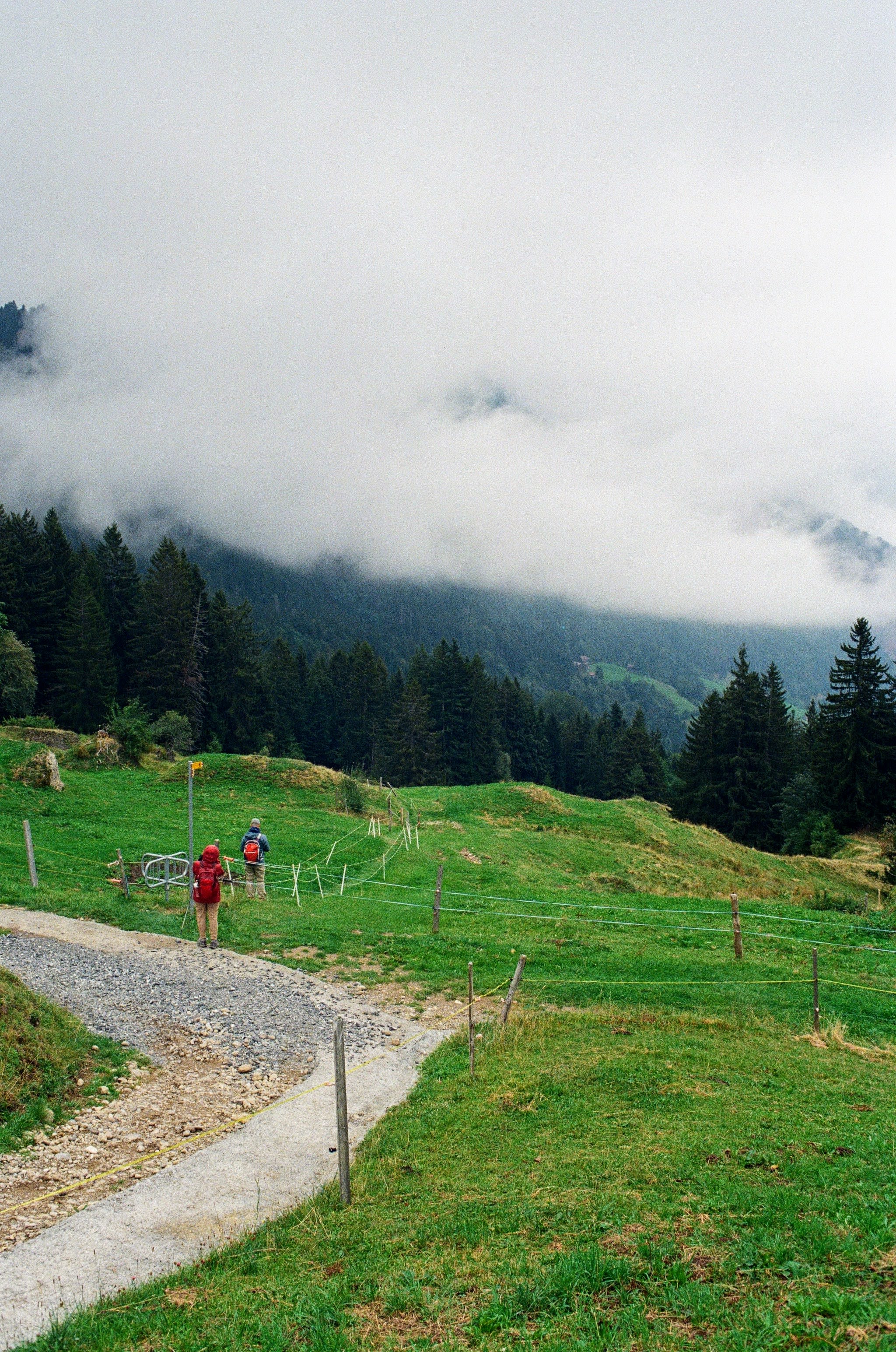Two hikers in red decend down a lush green mountain, heading off the main path.