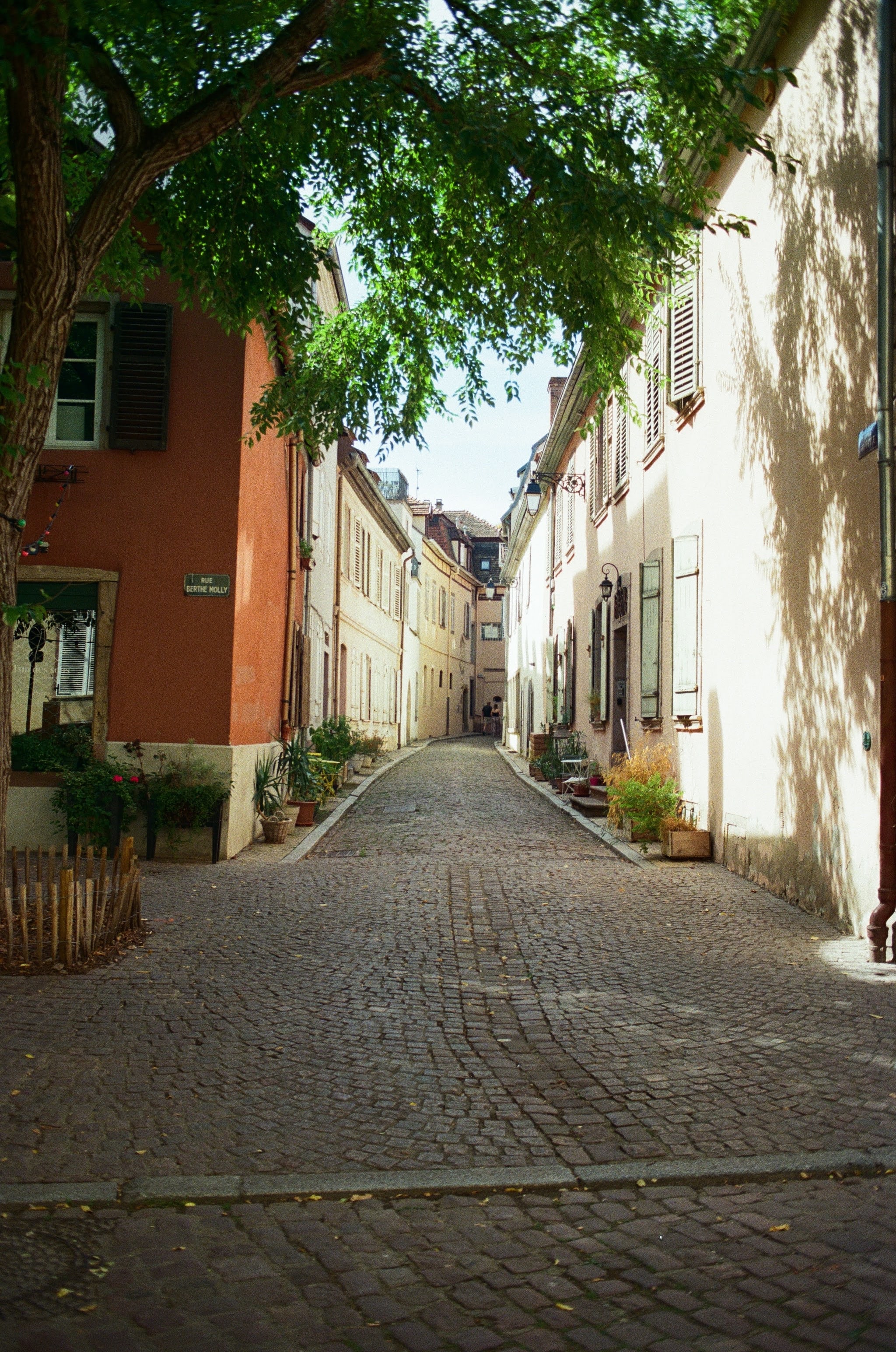 Looking down a shaded alley with cobbled pavement, and white painted buildings. In the foreground stand a red building and the overhanging branches of a tree.
