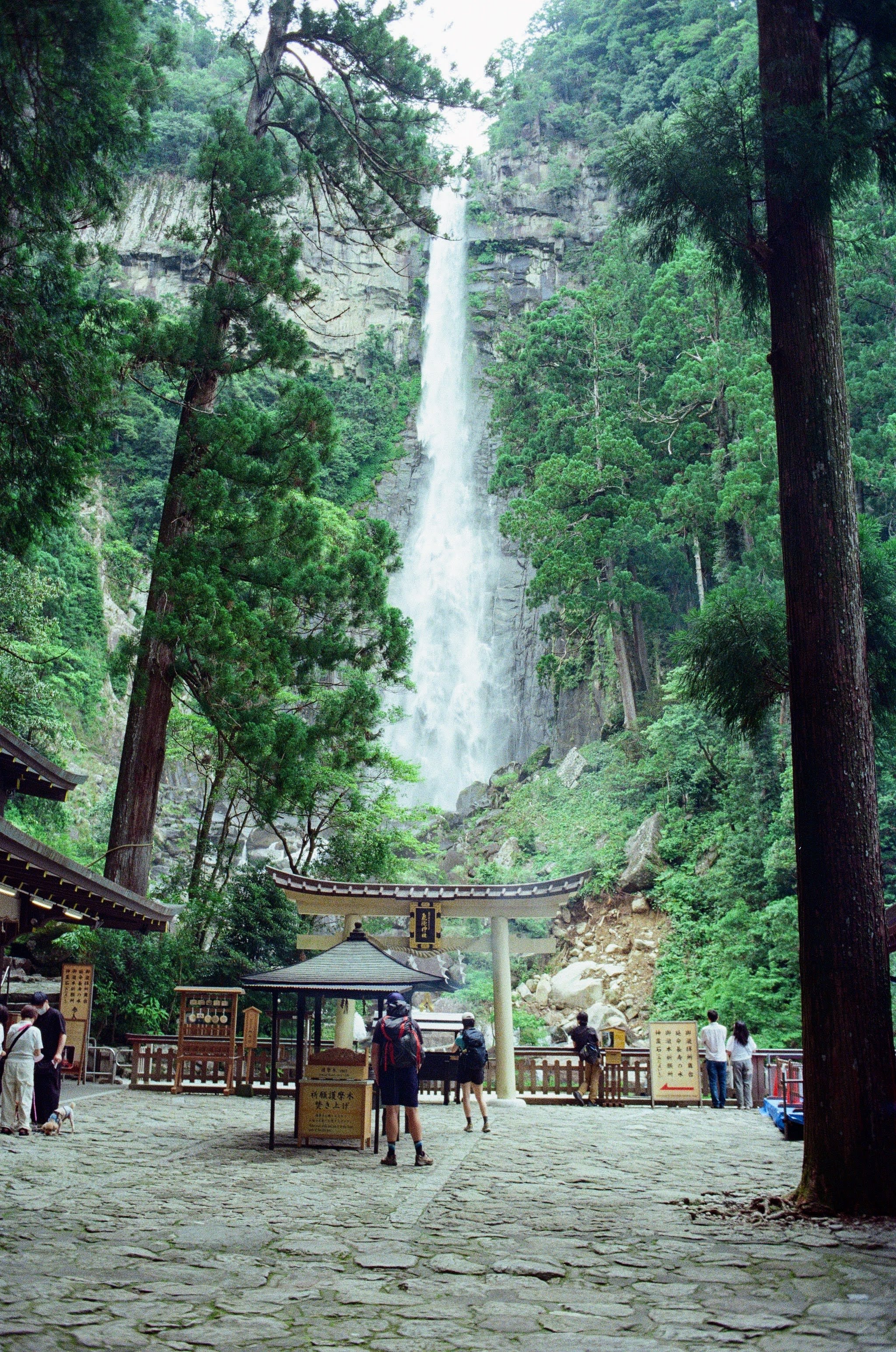 A waterfall comes down in the background, with a shrine area surrounded by tall trees in the foreground.