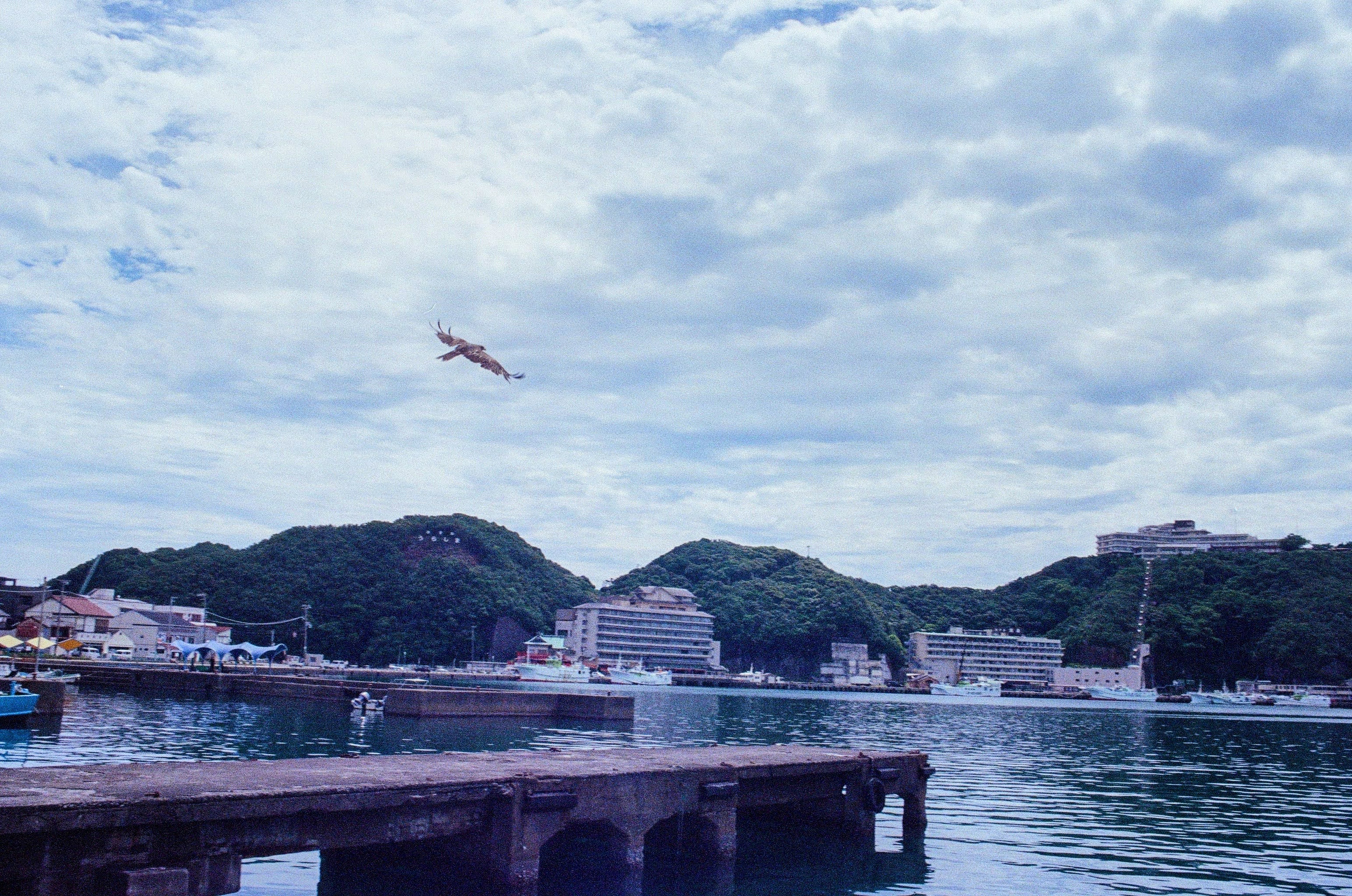 An eagle flys low over a fishing warf on a cloudy day.