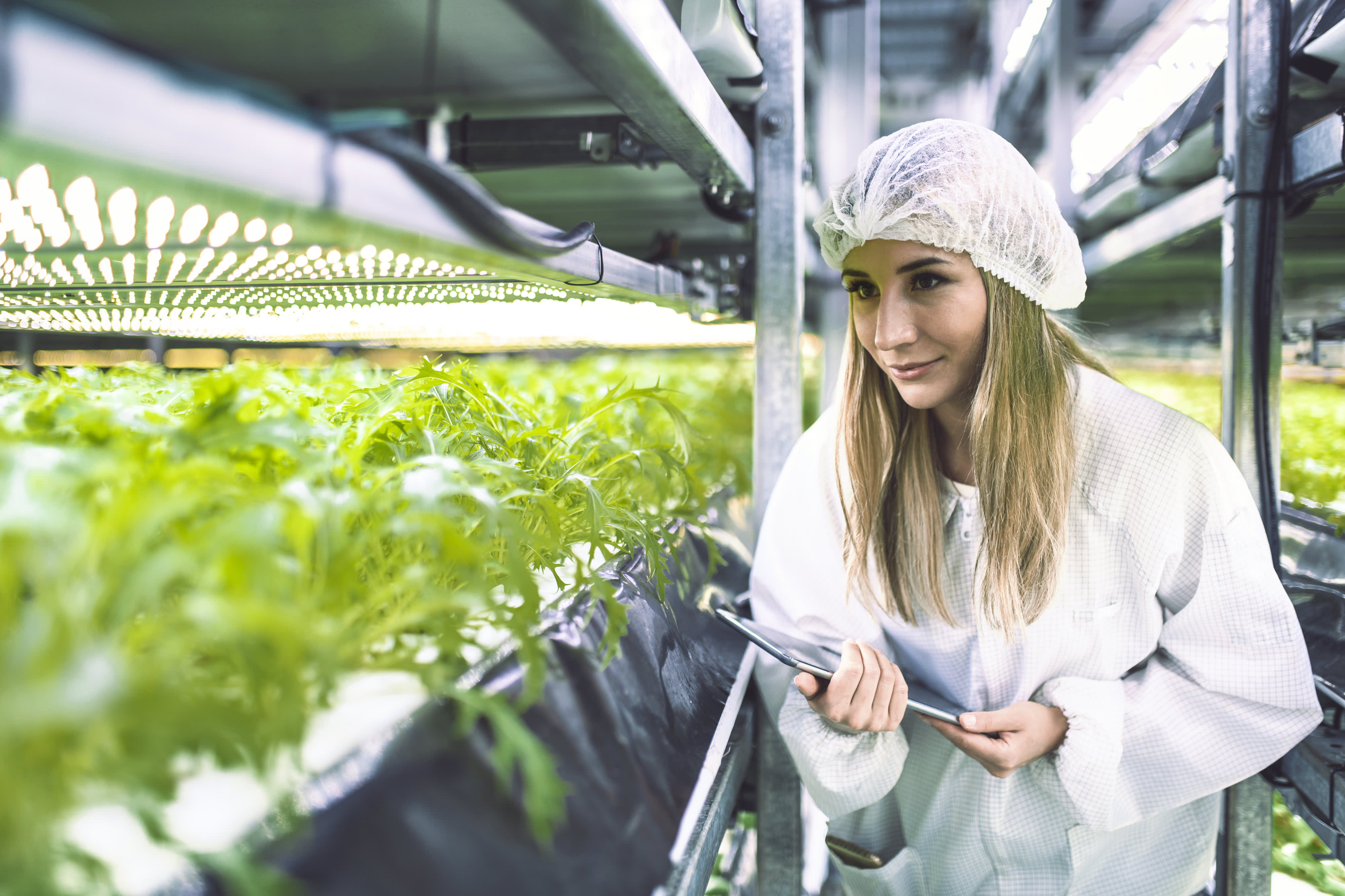 Weiblicher Nachhaltigkeitsspezialist Noting Indoor Crop Wachstum